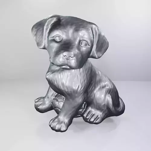 Dog with soccer ball