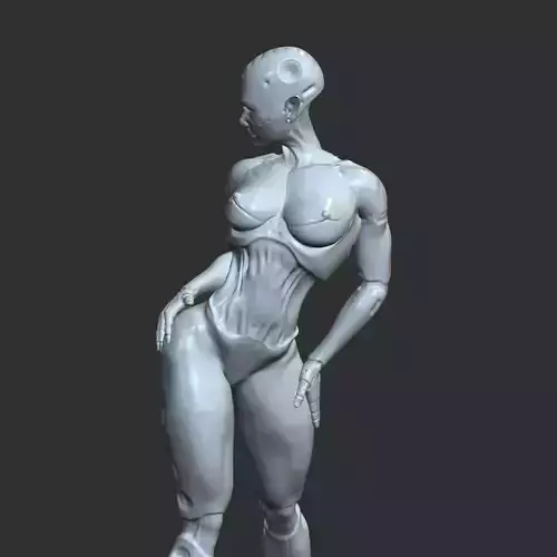 Robo-Waifu Anime Babe NSFW STL Print Model