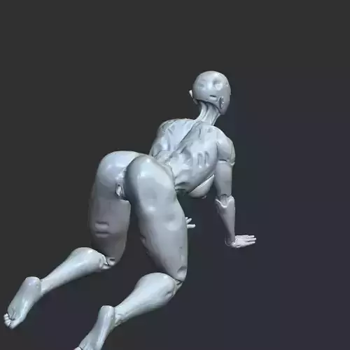 nude sex doll with vagina