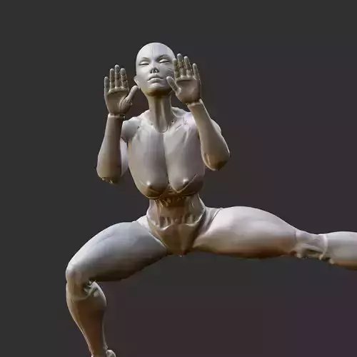 Naughty Cyberpunk Anime Girl NSFW 3D Print STL