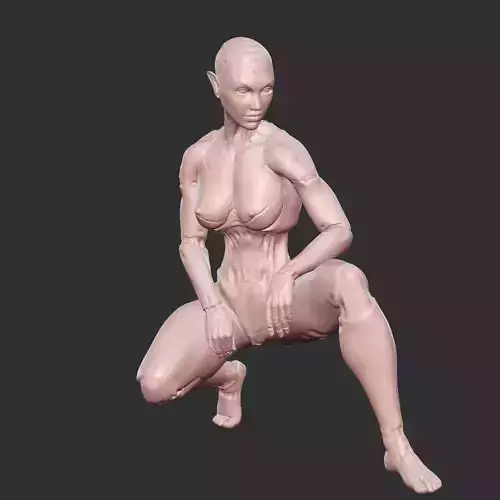 Lewd Robotic Waifu with Cybernetic Body STL