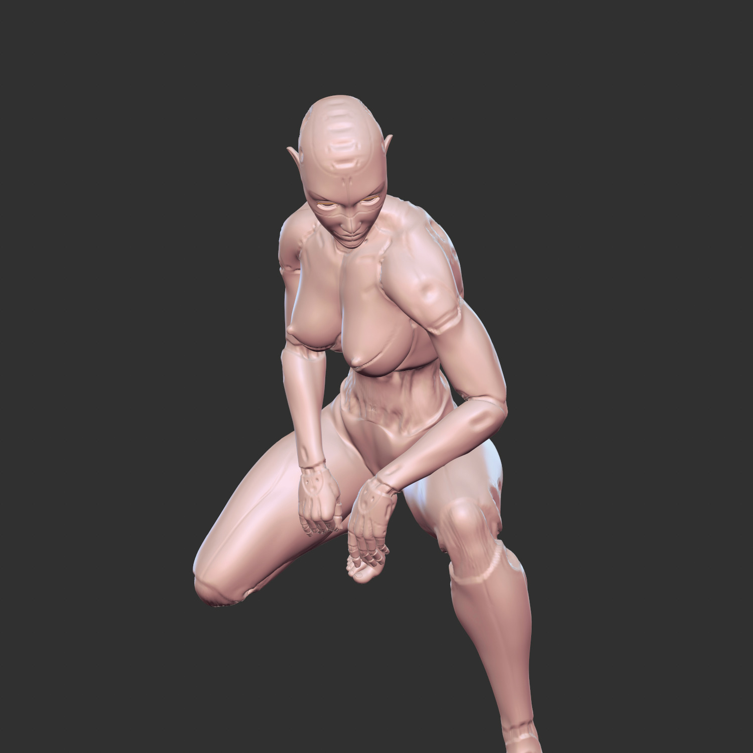 Lewd Robotic Waifu with Cybernetic Body STL 3D print model_6