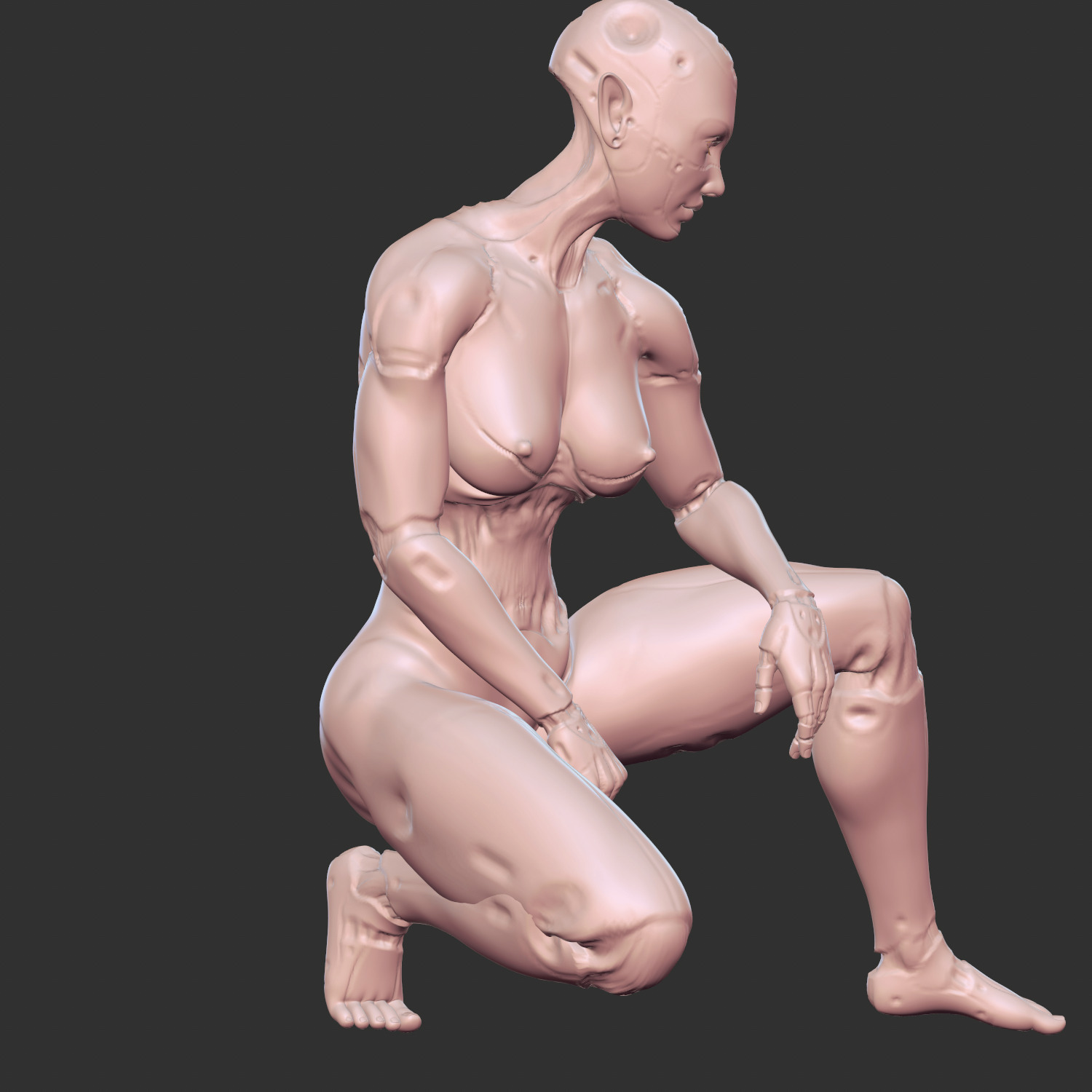 Lewd Robotic Waifu with Cybernetic Body STL 3D print model_5