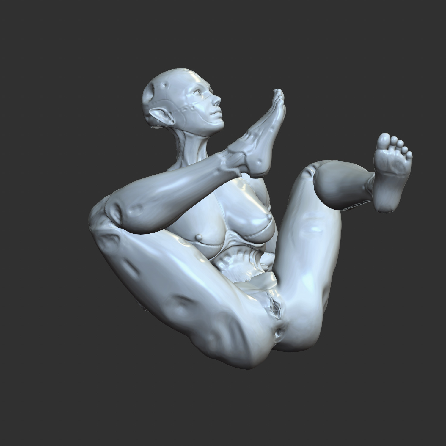Futuristic Half-Robot Half-Woman Lewd 3D Model STL 3D print model_1