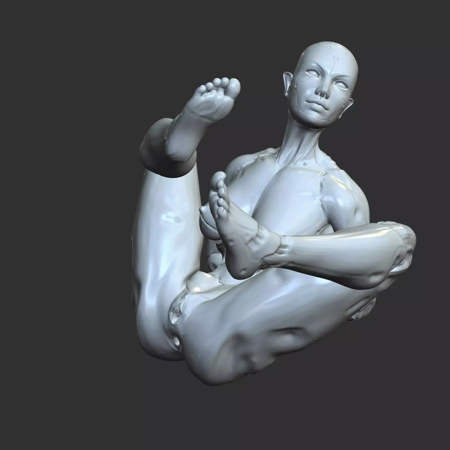 Futuristic Half-Robot Half-Woman Lewd 3D Model STL 3D print model_0