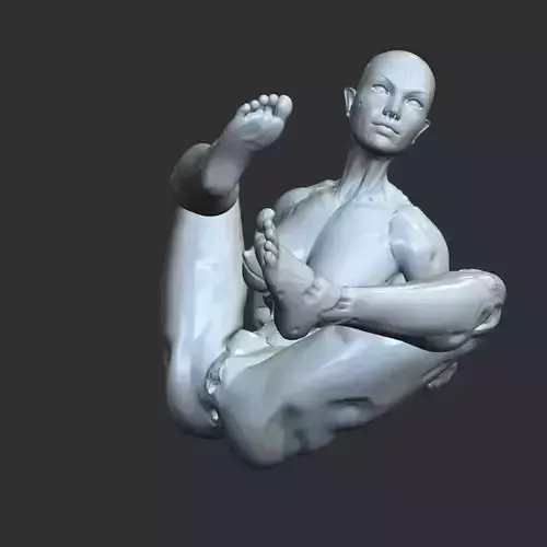 Futuristic Half-Robot Half-Woman Lewd 3D Model STL