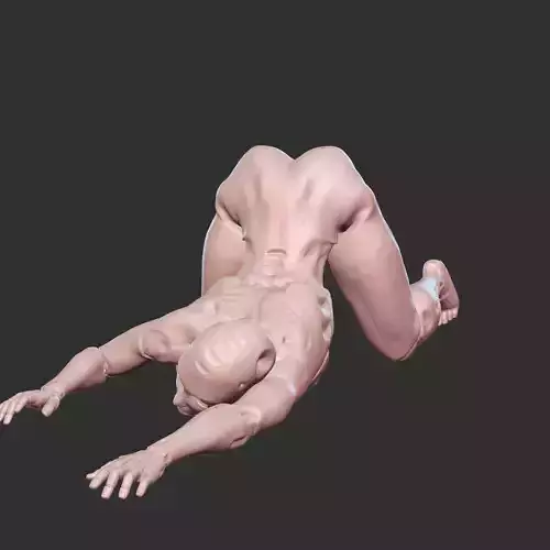 Cyberpunk Sex Doll 3D Print NSFW Model STL