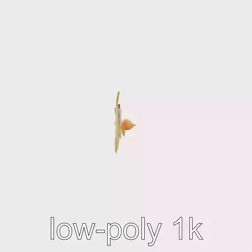 Dawn Parrot Wings with Orange-Yellow Gradient Feathers Low-poly 3D model
