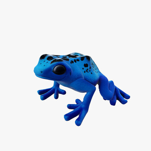 Frog cartoon 3d model Low-poly 3D model