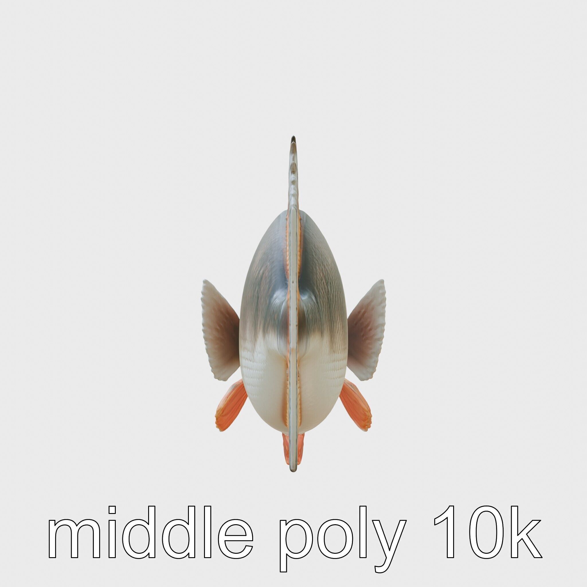 Glowing Anglerfish with Bioluminescent Lure Low-poly 3D model_2