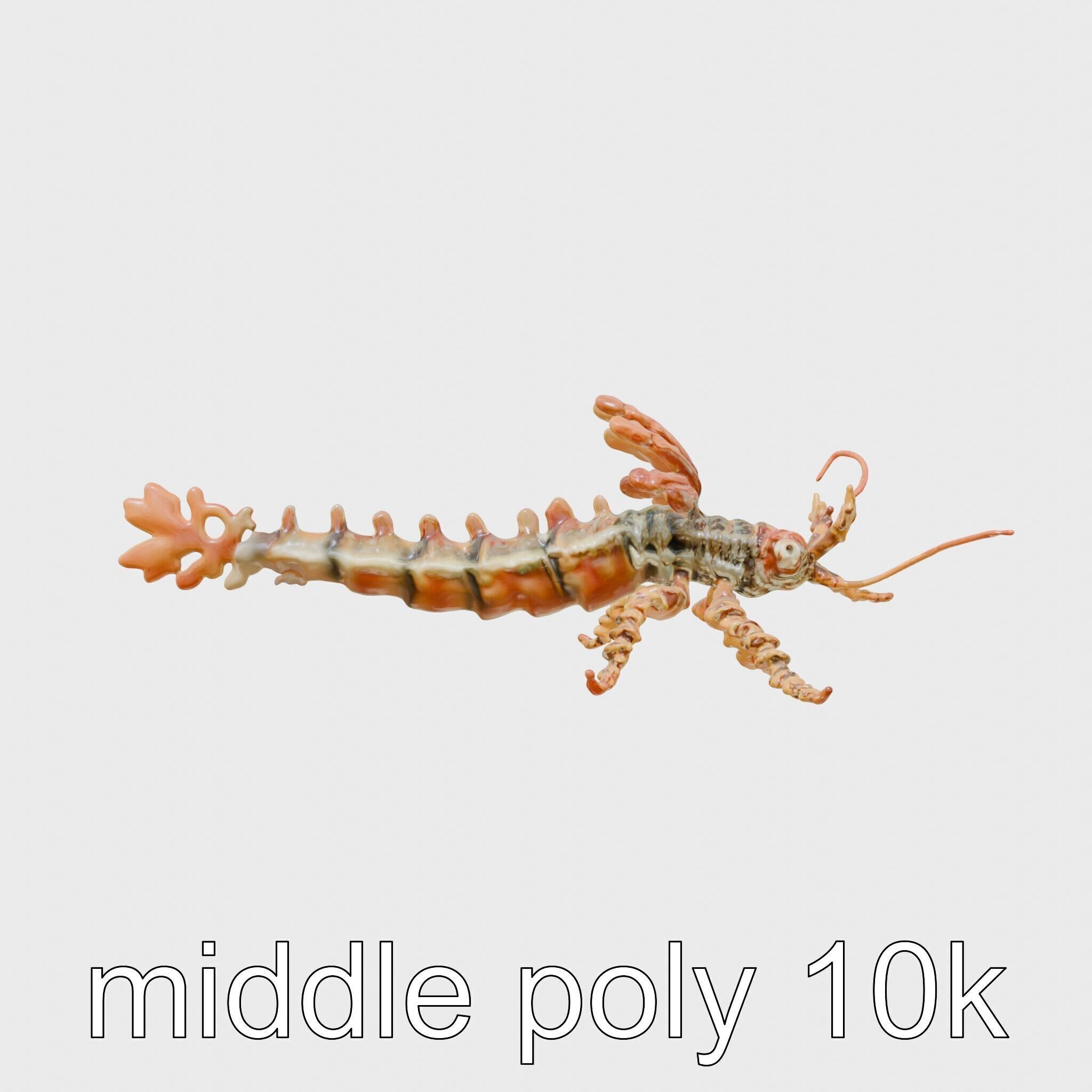 Leafy Seadragon 3D Model with Intricate Appendages Low-poly 3D model_14