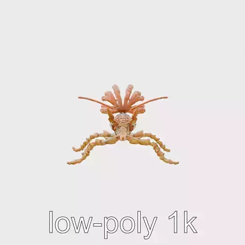 Leafy Seadragon 3D Model with Intricate Appendages Low-poly 3D model