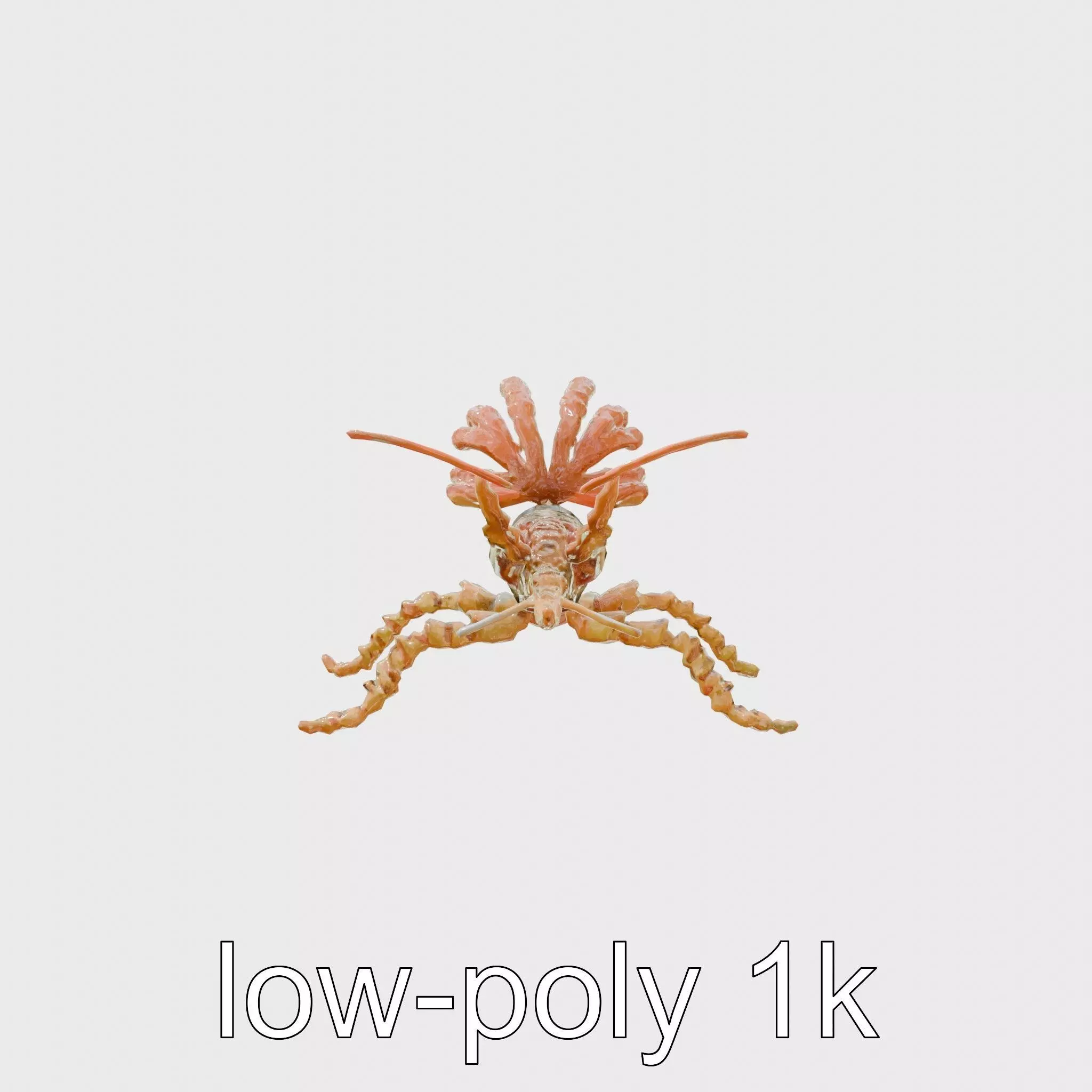 Leafy Seadragon 3D Model with Intricate Appendages Low-poly 3D model_0