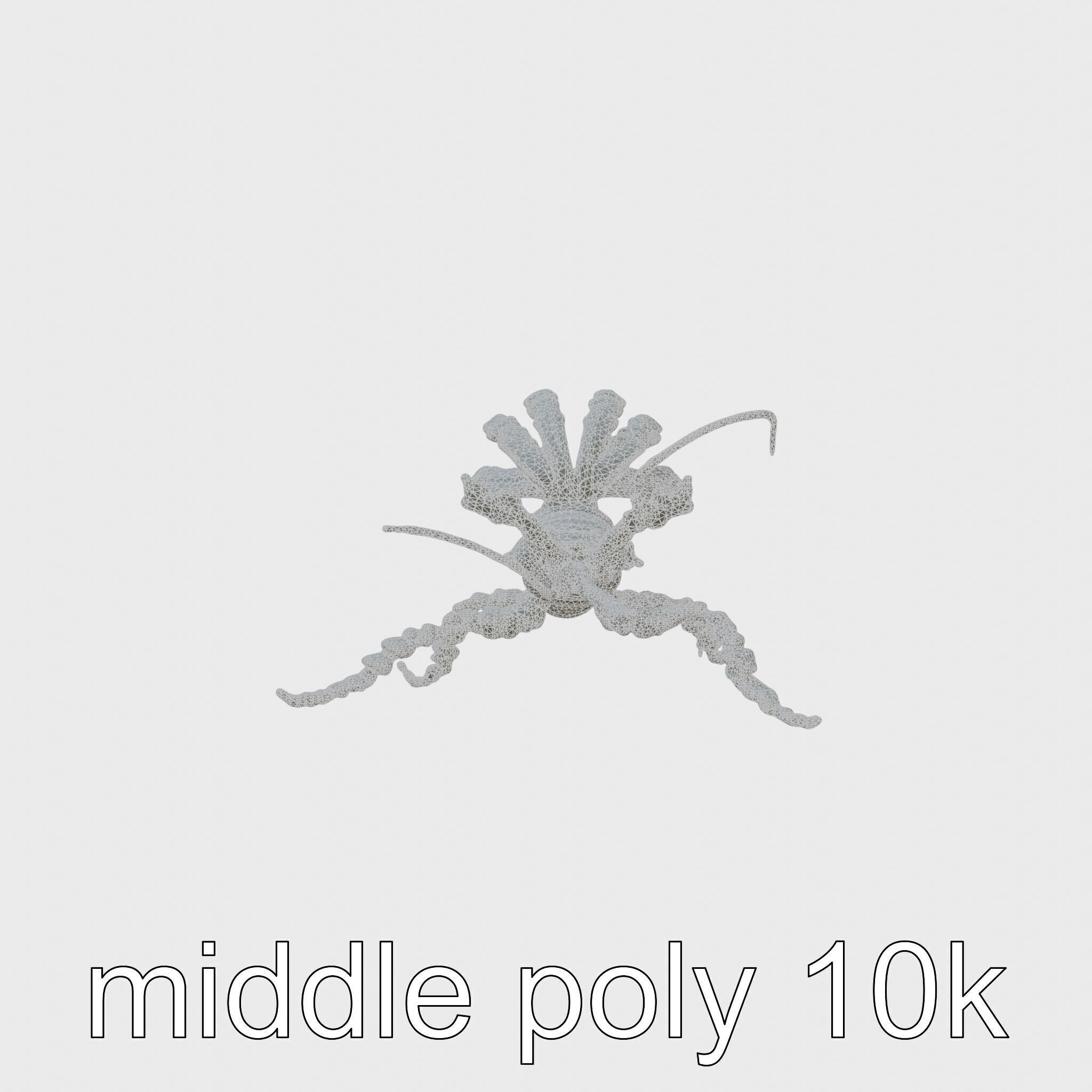 Leafy Seadragon 3D Model with Intricate Appendages Low-poly 3D model_5