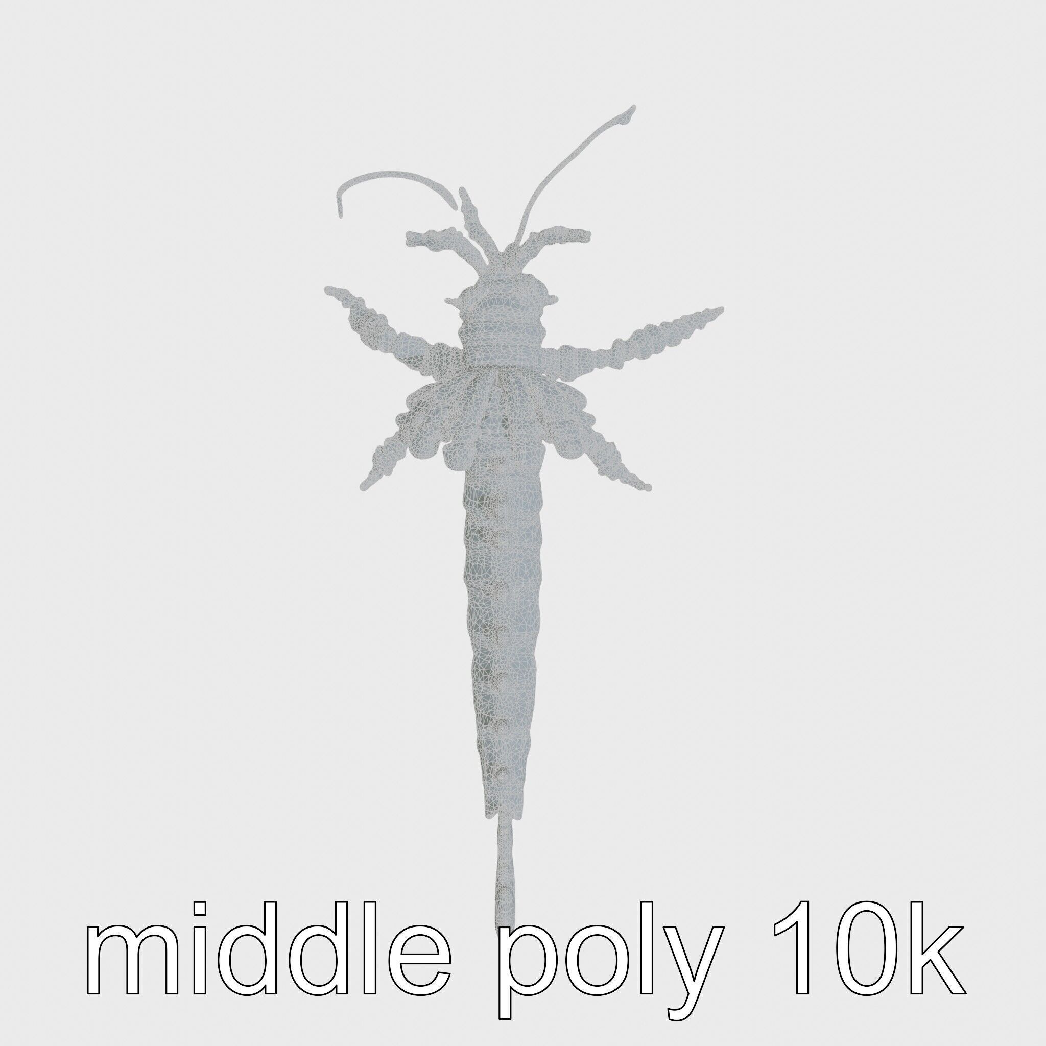 Leafy Seadragon 3D Model with Intricate Appendages Low-poly 3D model_15