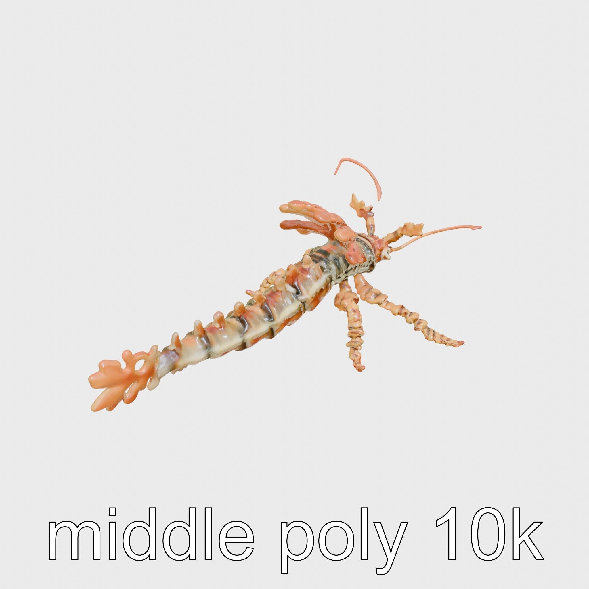 Leafy Seadragon 3D Model with Intricate Appendages Low-poly 3D model_8
