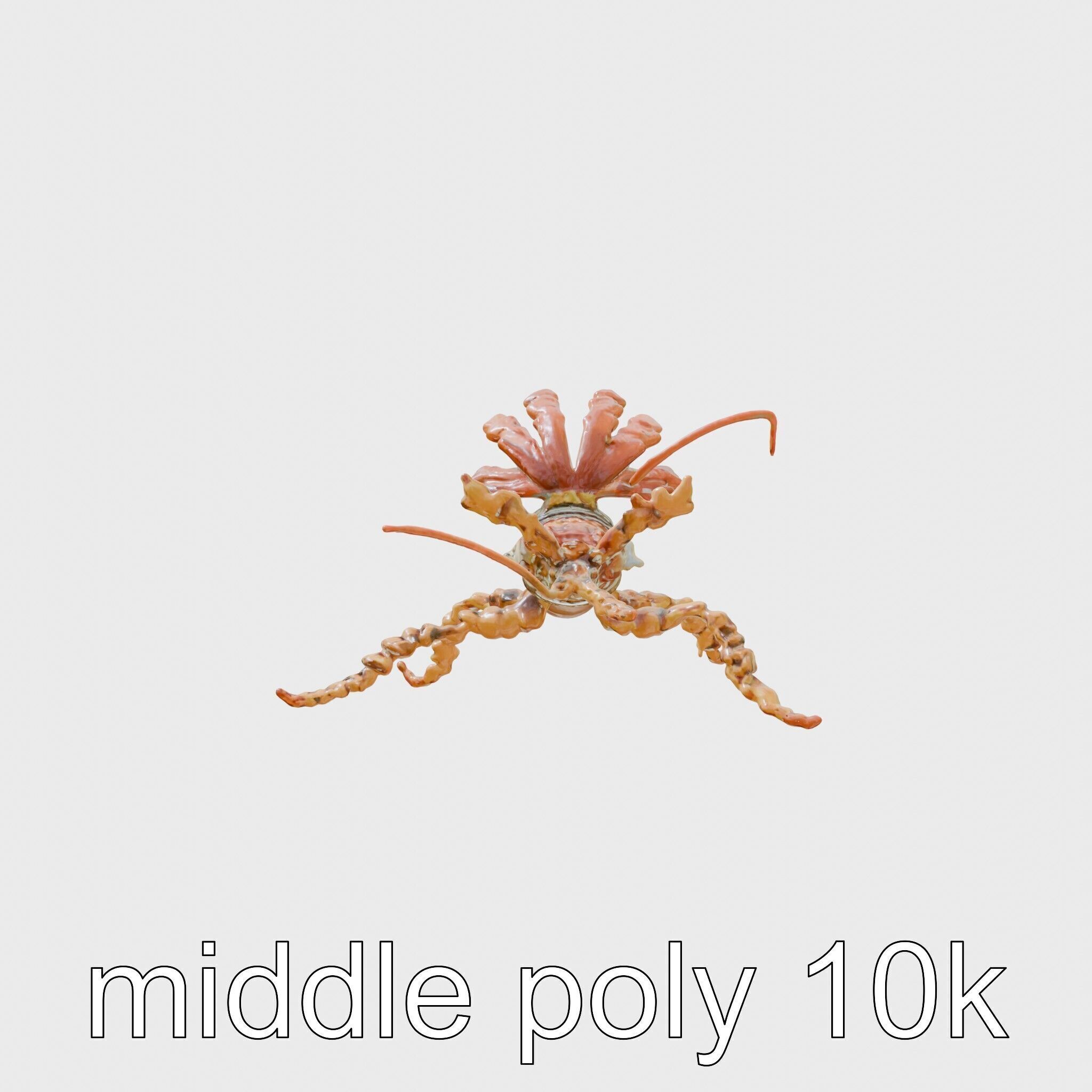 Leafy Seadragon 3D Model with Intricate Appendages Low-poly 3D model_2