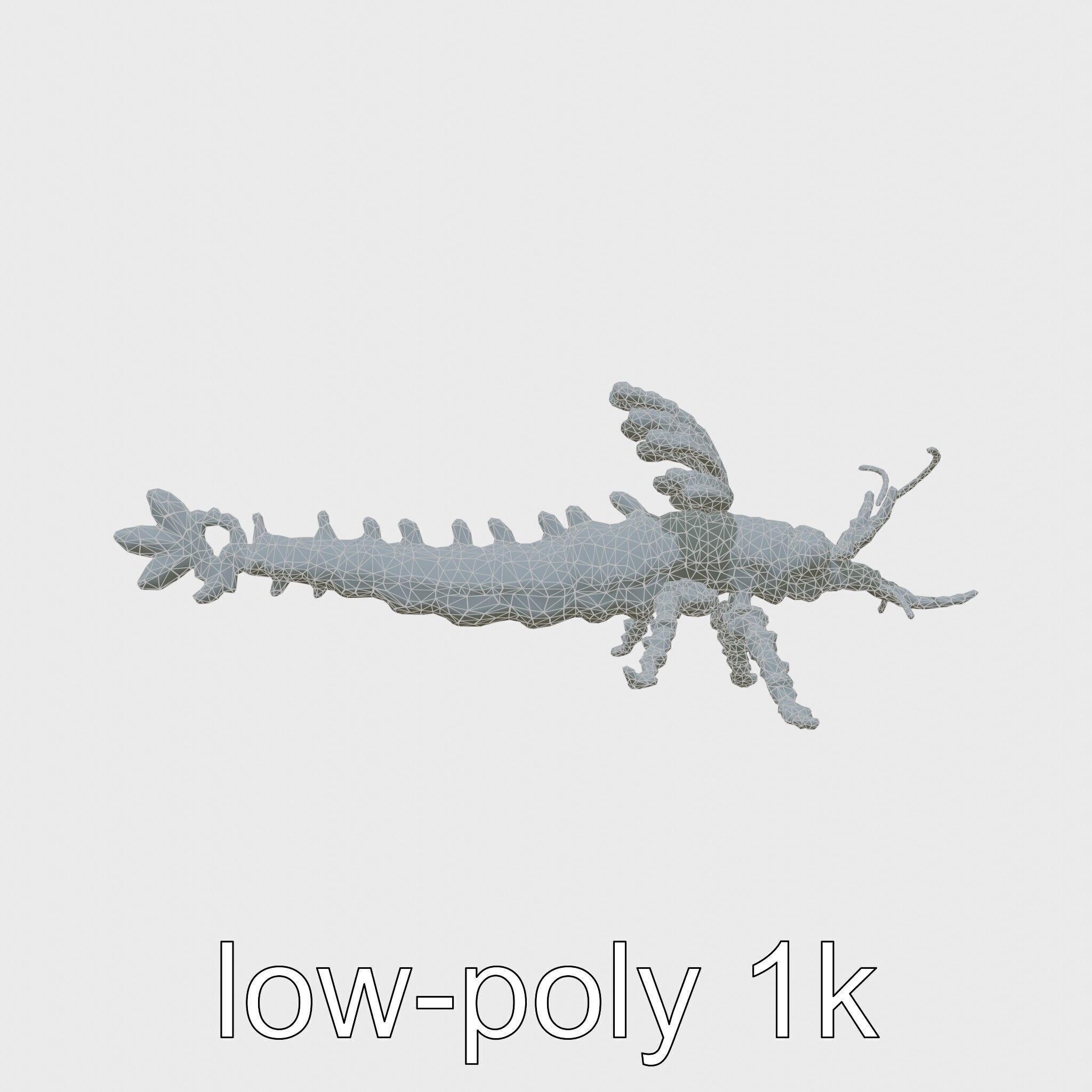 Leafy Seadragon 3D Model with Intricate Appendages Low-poly 3D model_18