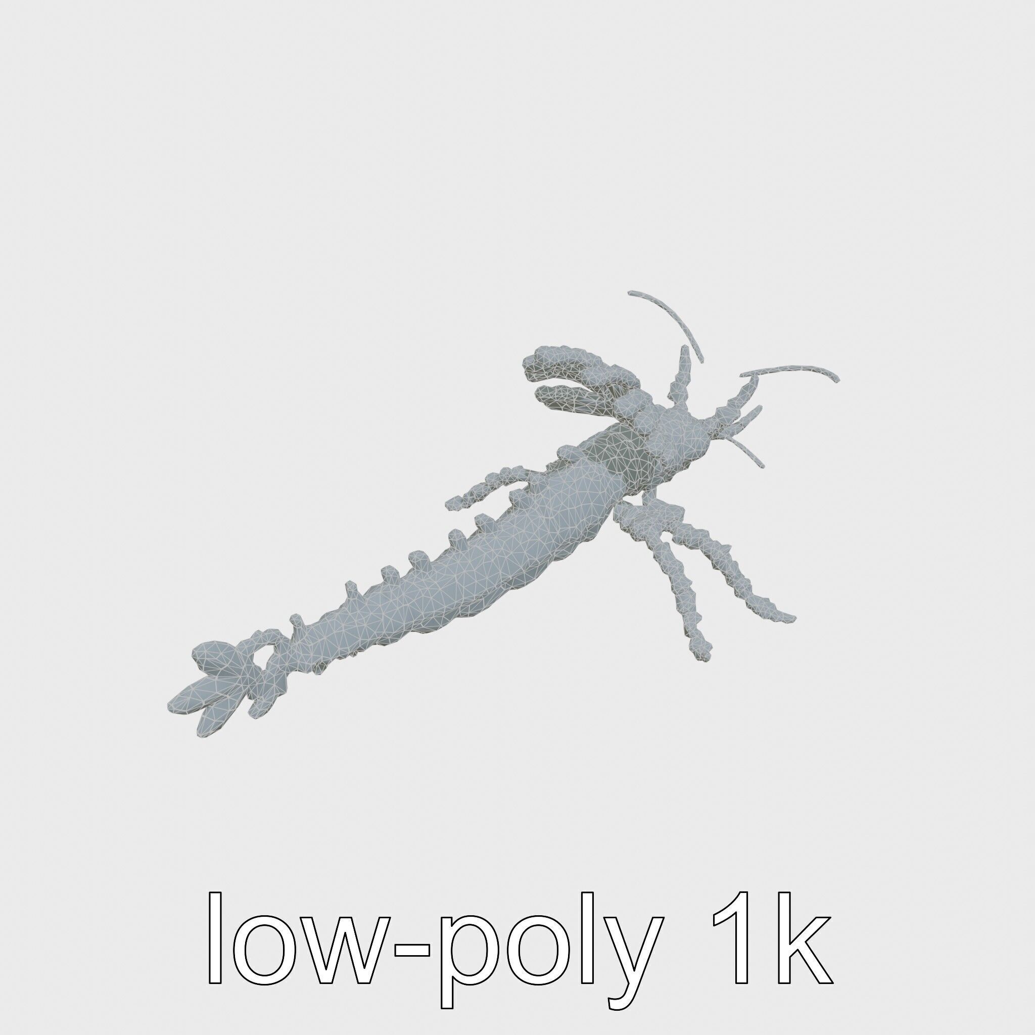 Leafy Seadragon 3D Model with Intricate Appendages Low-poly 3D model_24