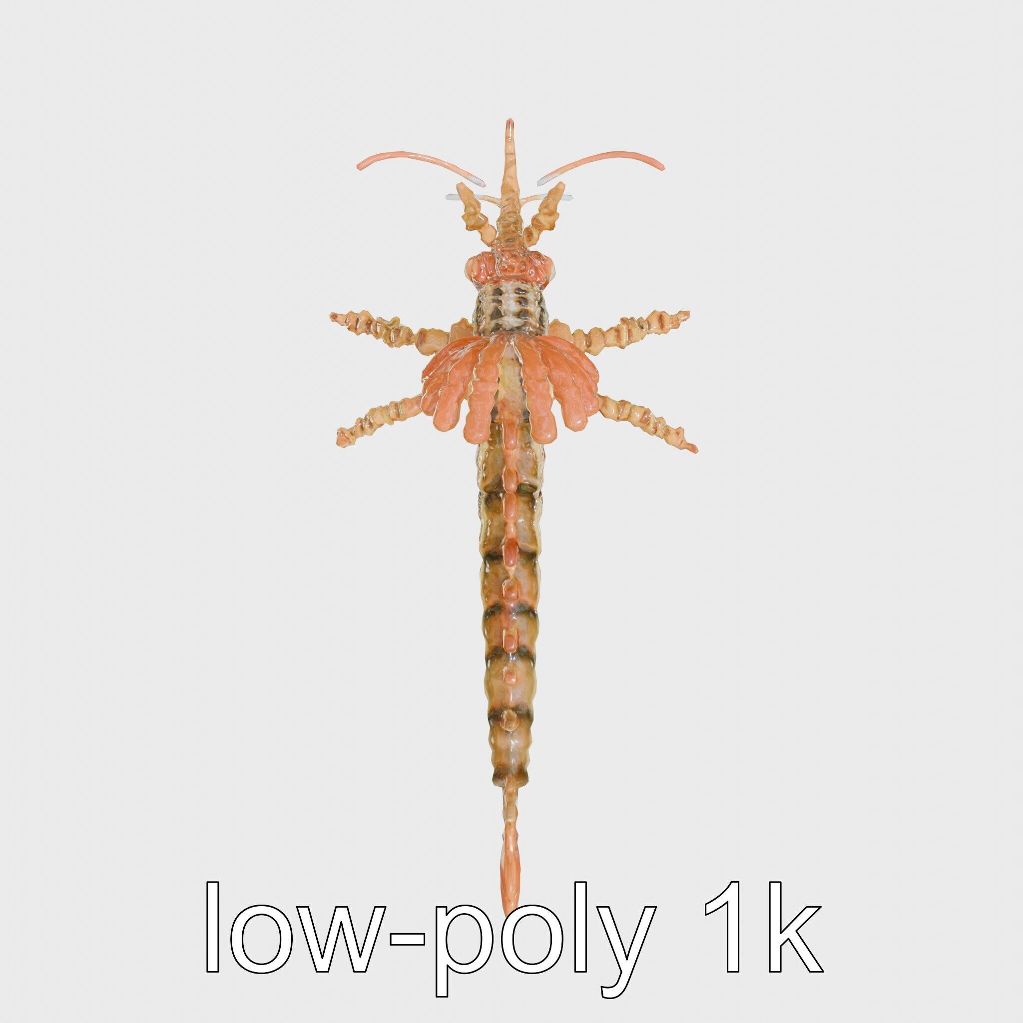 Leafy Seadragon 3D Model with Intricate Appendages Low-poly 3D model_23