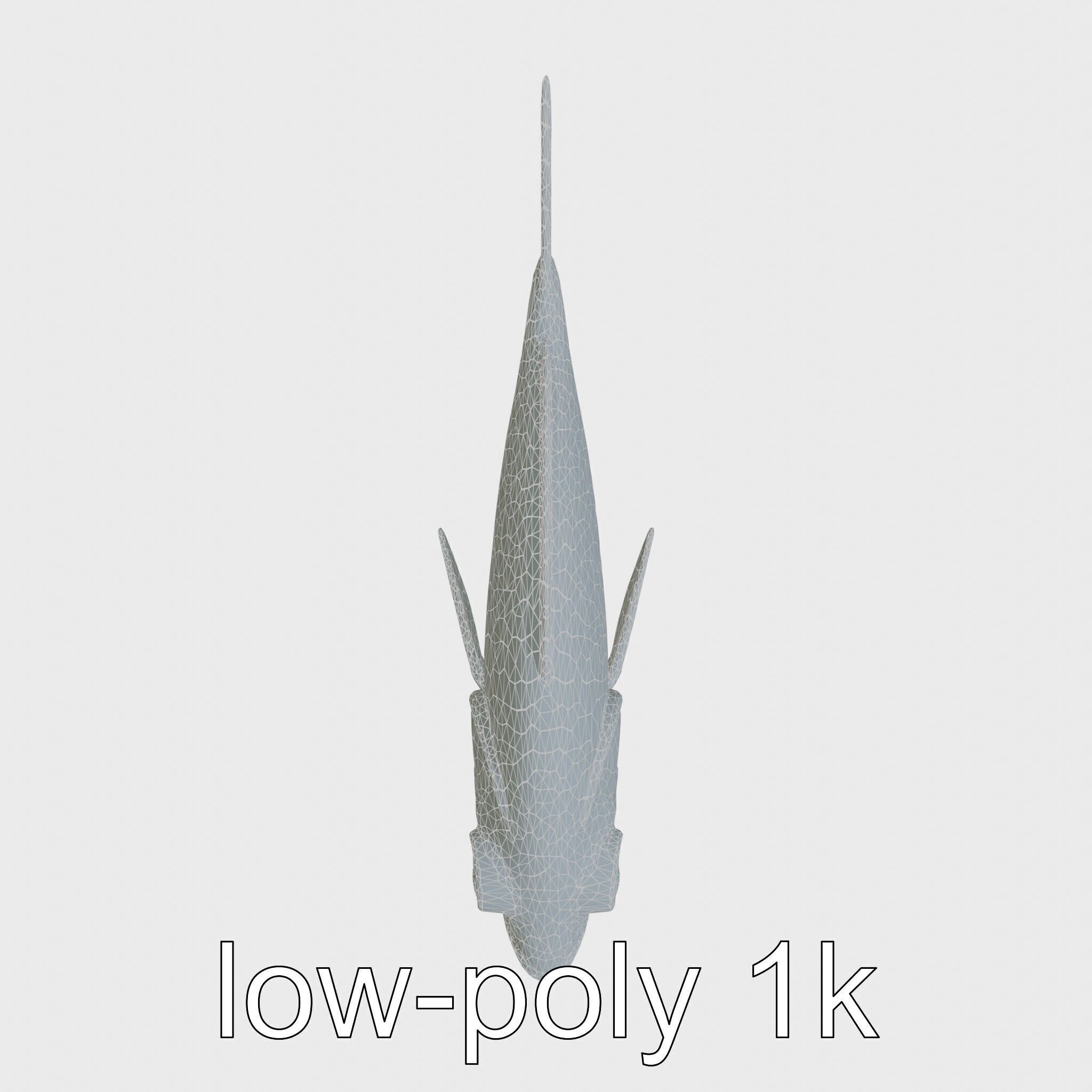 Barreleye Fish 3D Model with Transparent Head Low-poly 3D model_28