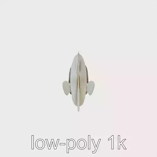 Barreleye Fish 3D Model with Transparent Head Low-poly 3D model