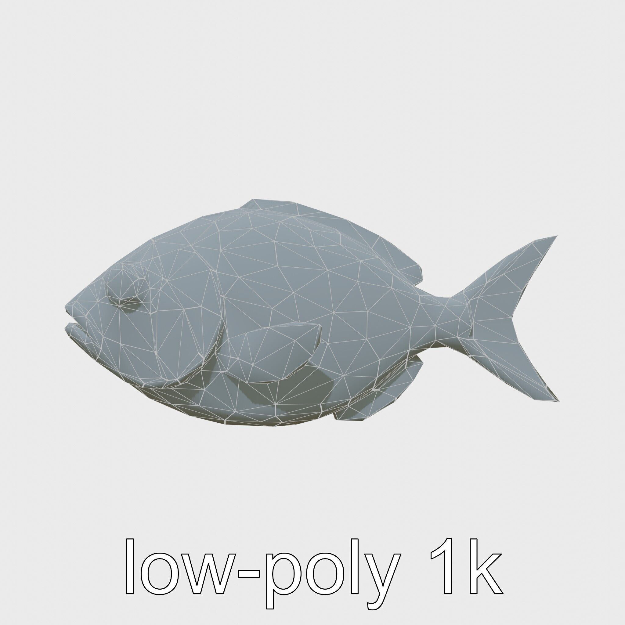 Barreleye Fish 3D Model with Transparent Head Low-poly 3D model_7