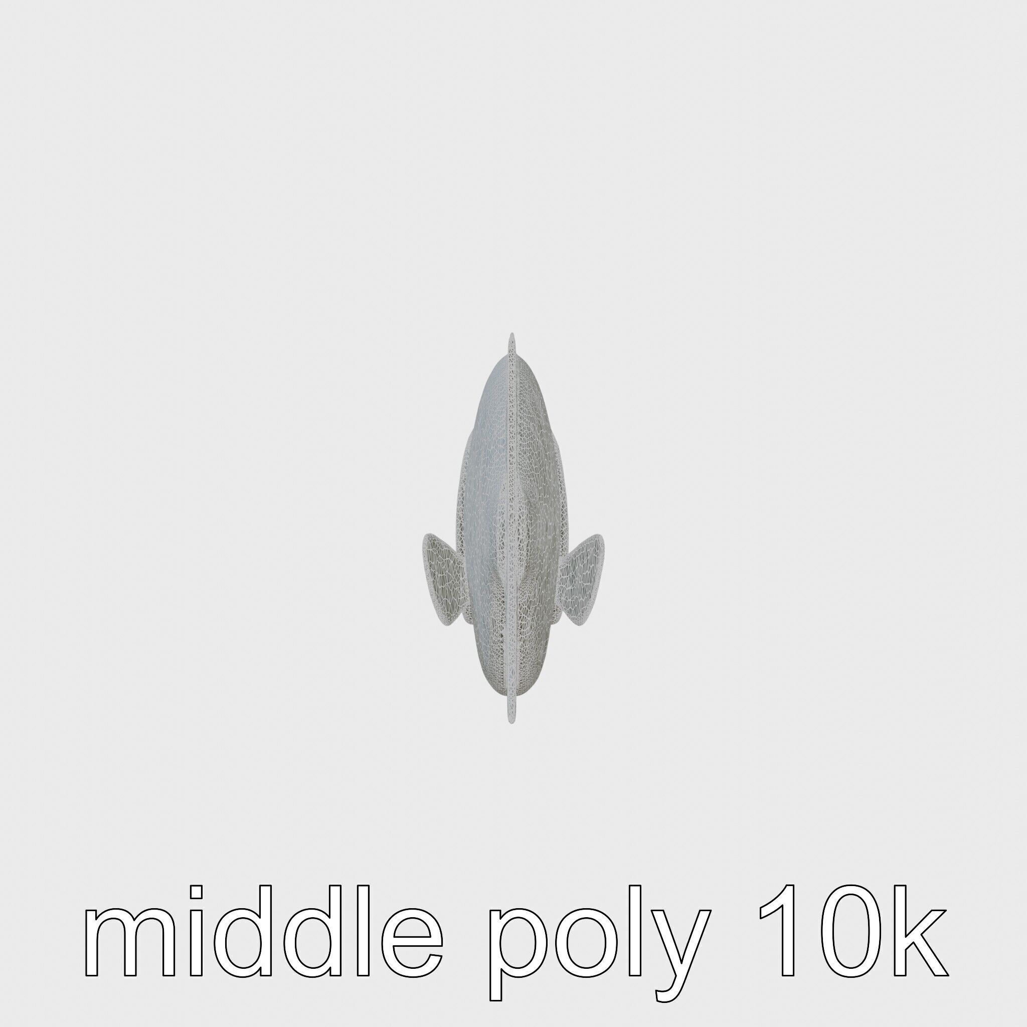 Barreleye Fish 3D Model with Transparent Head Low-poly 3D model_5