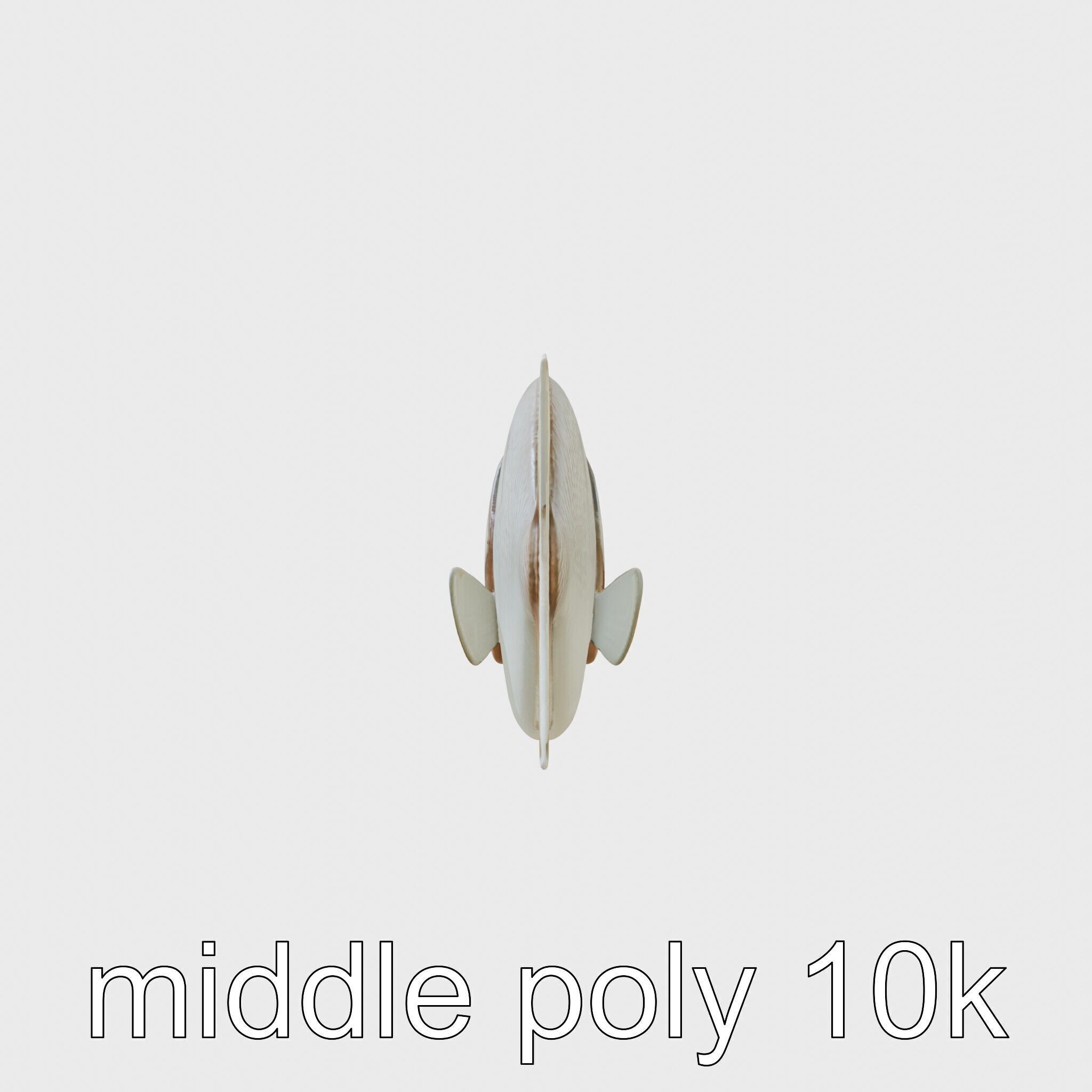 Barreleye Fish 3D Model with Transparent Head Low-poly 3D model_2