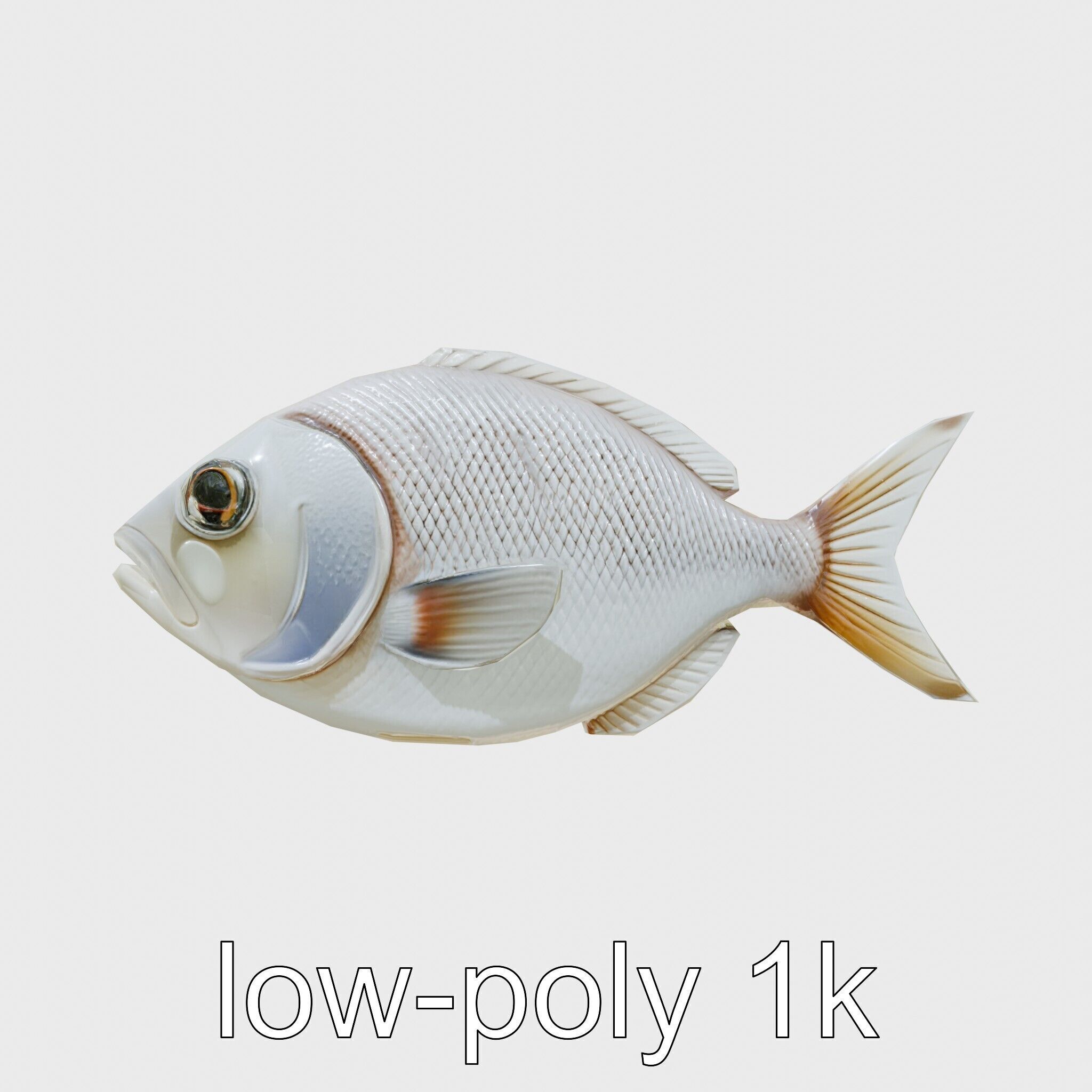 Barreleye Fish 3D Model with Transparent Head Low-poly 3D model_4