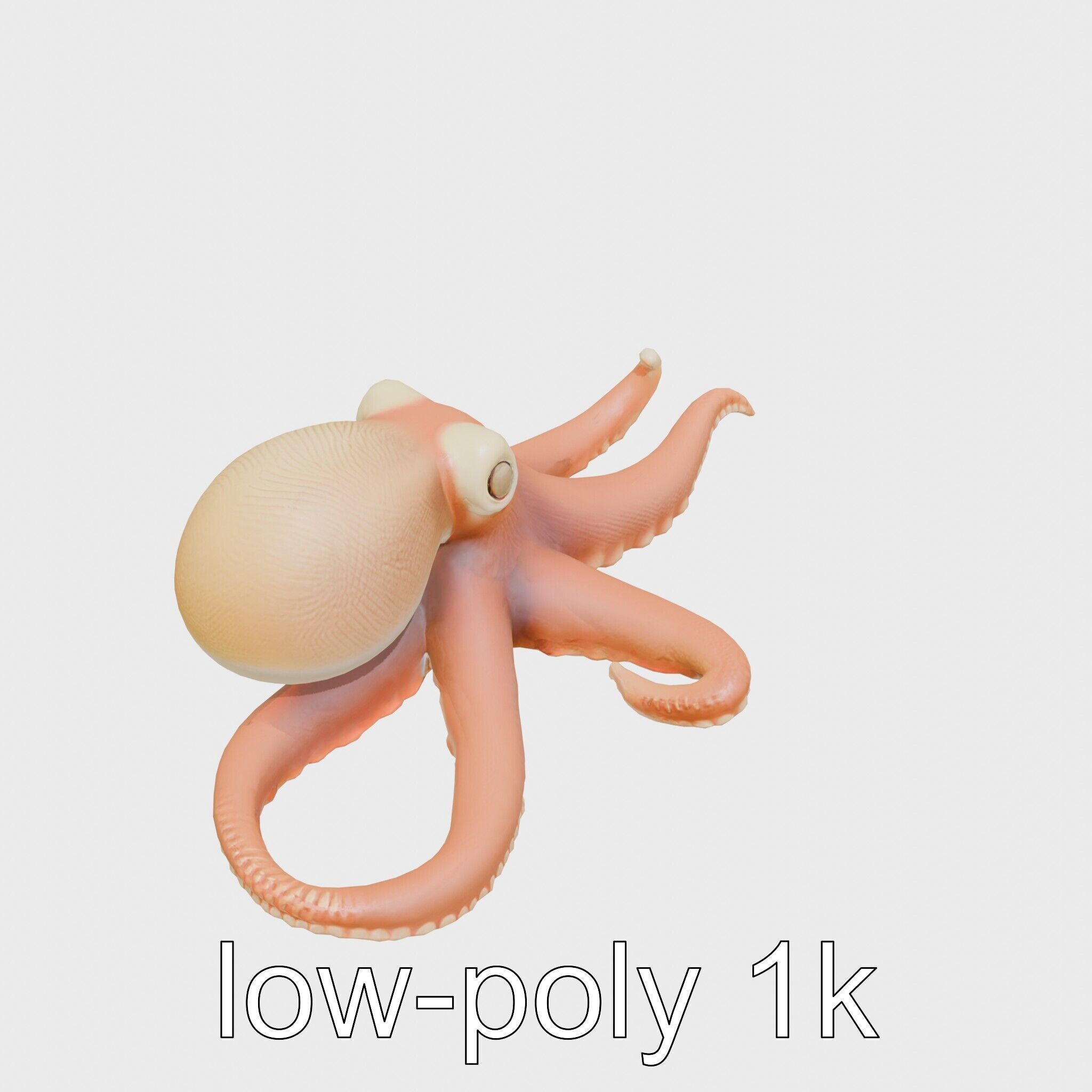 Dumbo Octopus Model with Ear-like Fins and Soft Body Low-poly 3D model_9