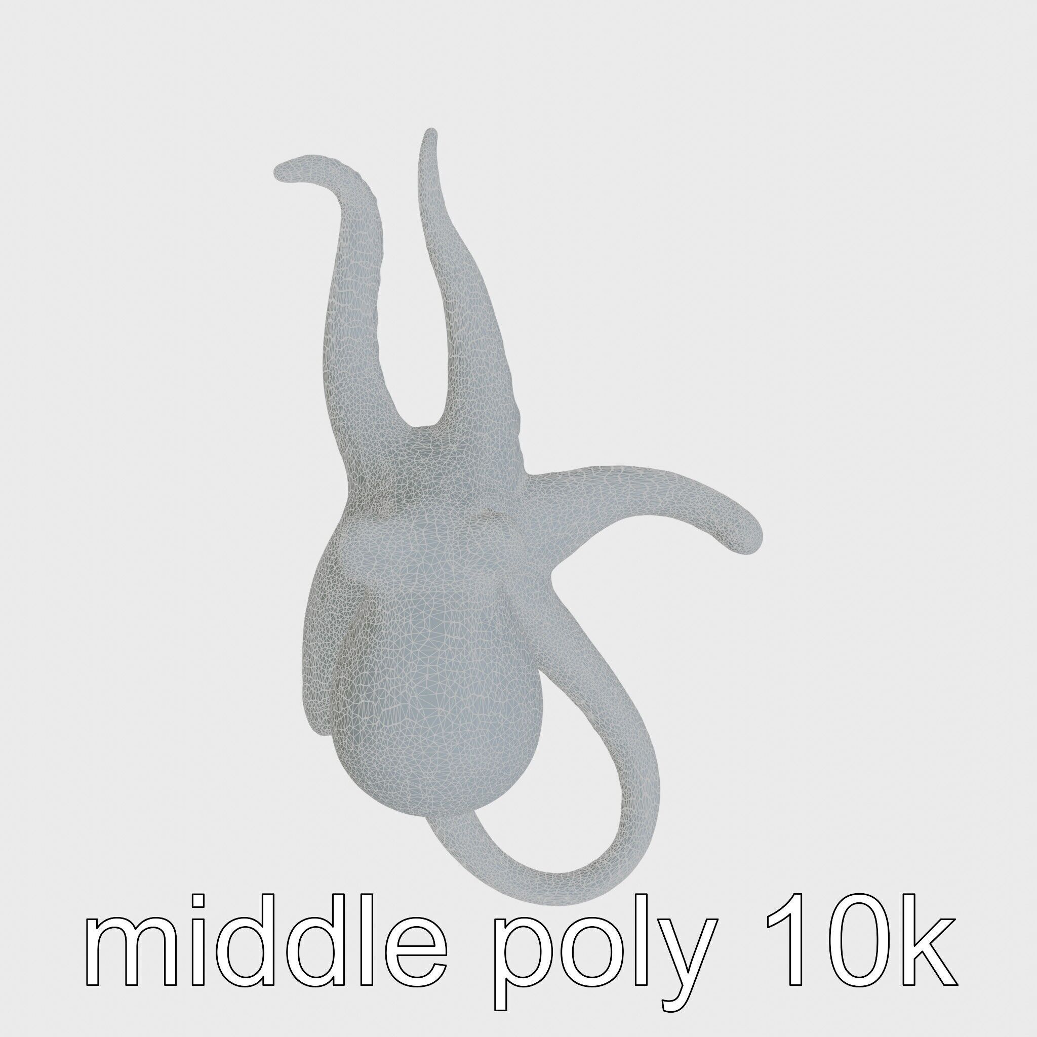 Dumbo Octopus Model with Ear-like Fins and Soft Body Low-poly 3D model_11
