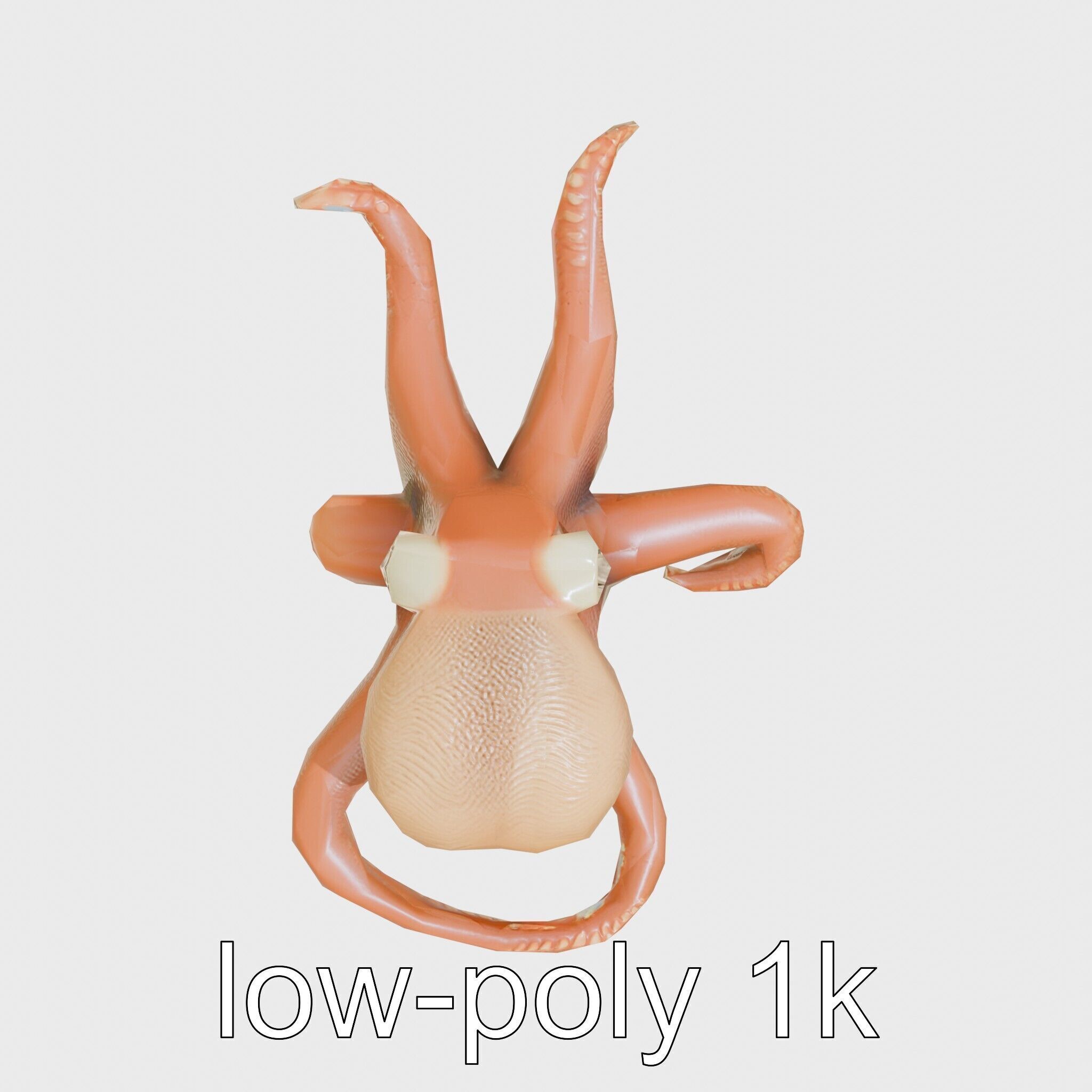 Dumbo Octopus Model with Ear-like Fins and Soft Body Low-poly 3D model_19