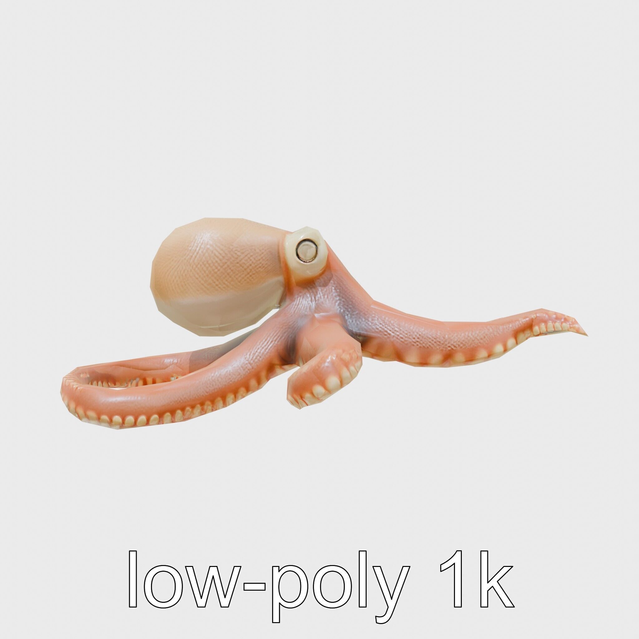 Dumbo Octopus Model with Ear-like Fins and Soft Body Low-poly 3D model_24