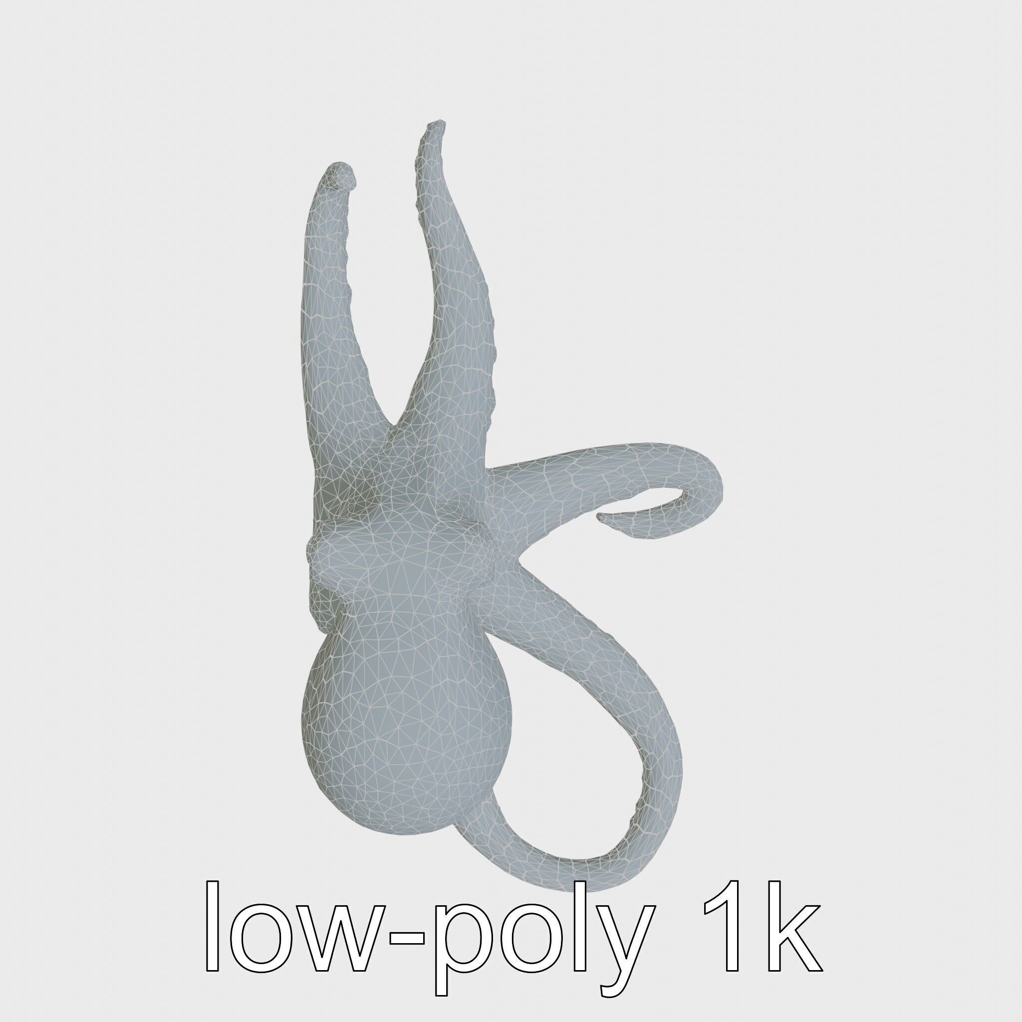 Dumbo Octopus Model with Ear-like Fins and Soft Body Low-poly 3D model_27