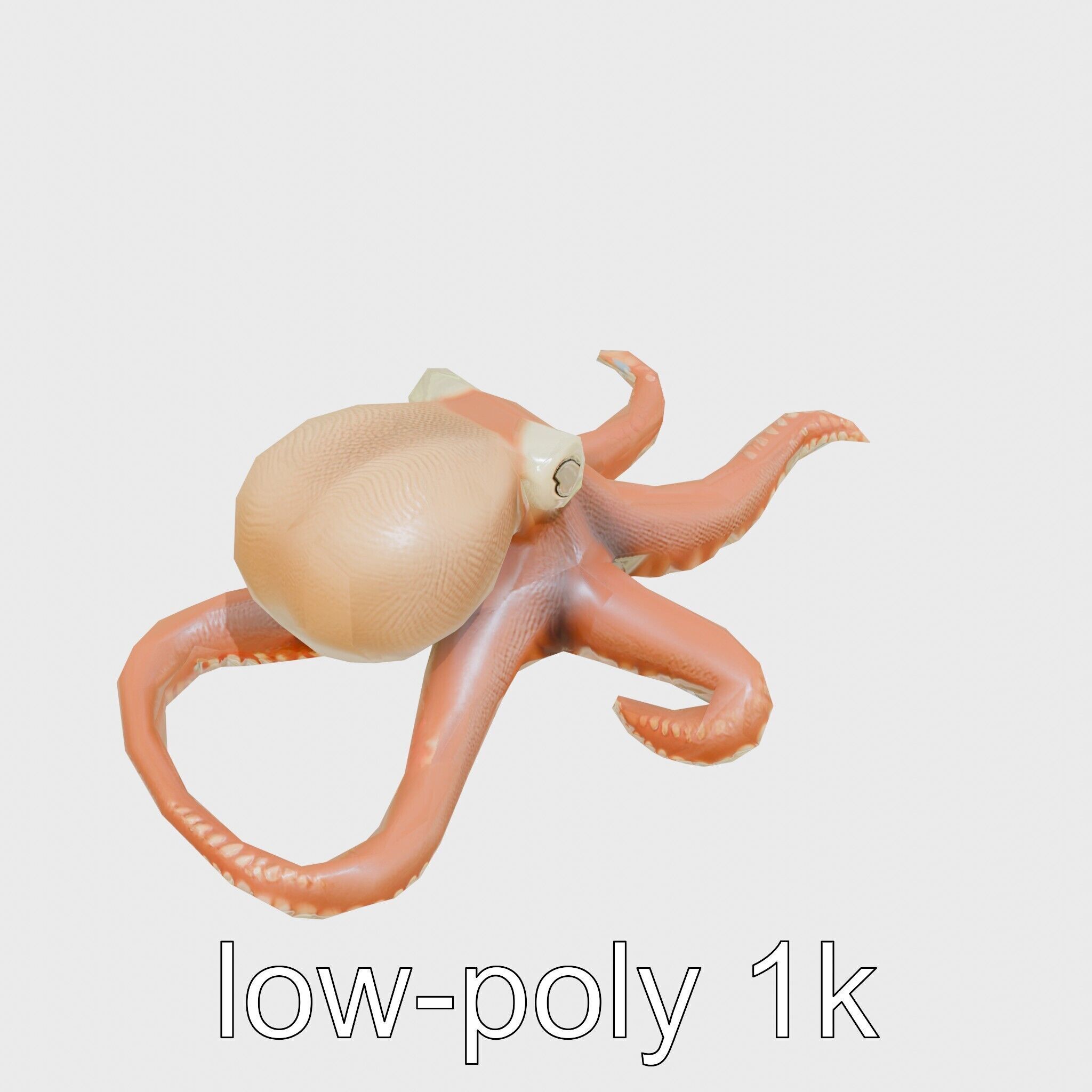 Dumbo Octopus Model with Ear-like Fins and Soft Body Low-poly 3D model_10
