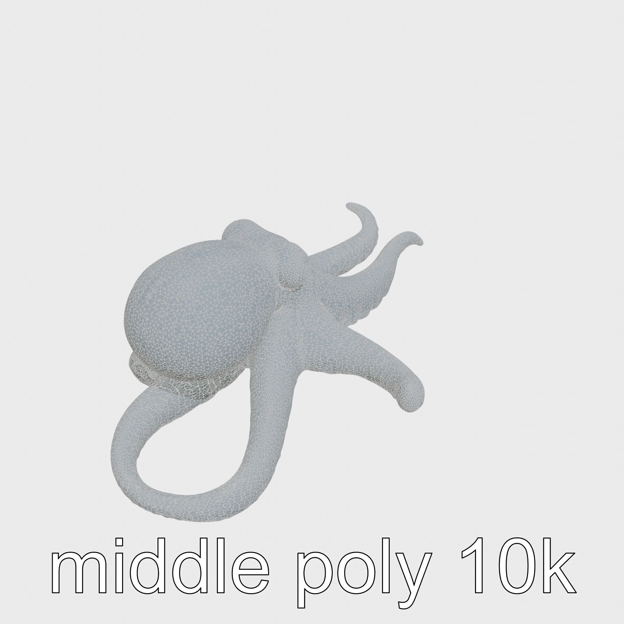 Dumbo Octopus Model with Ear-like Fins and Soft Body Low-poly 3D model_21