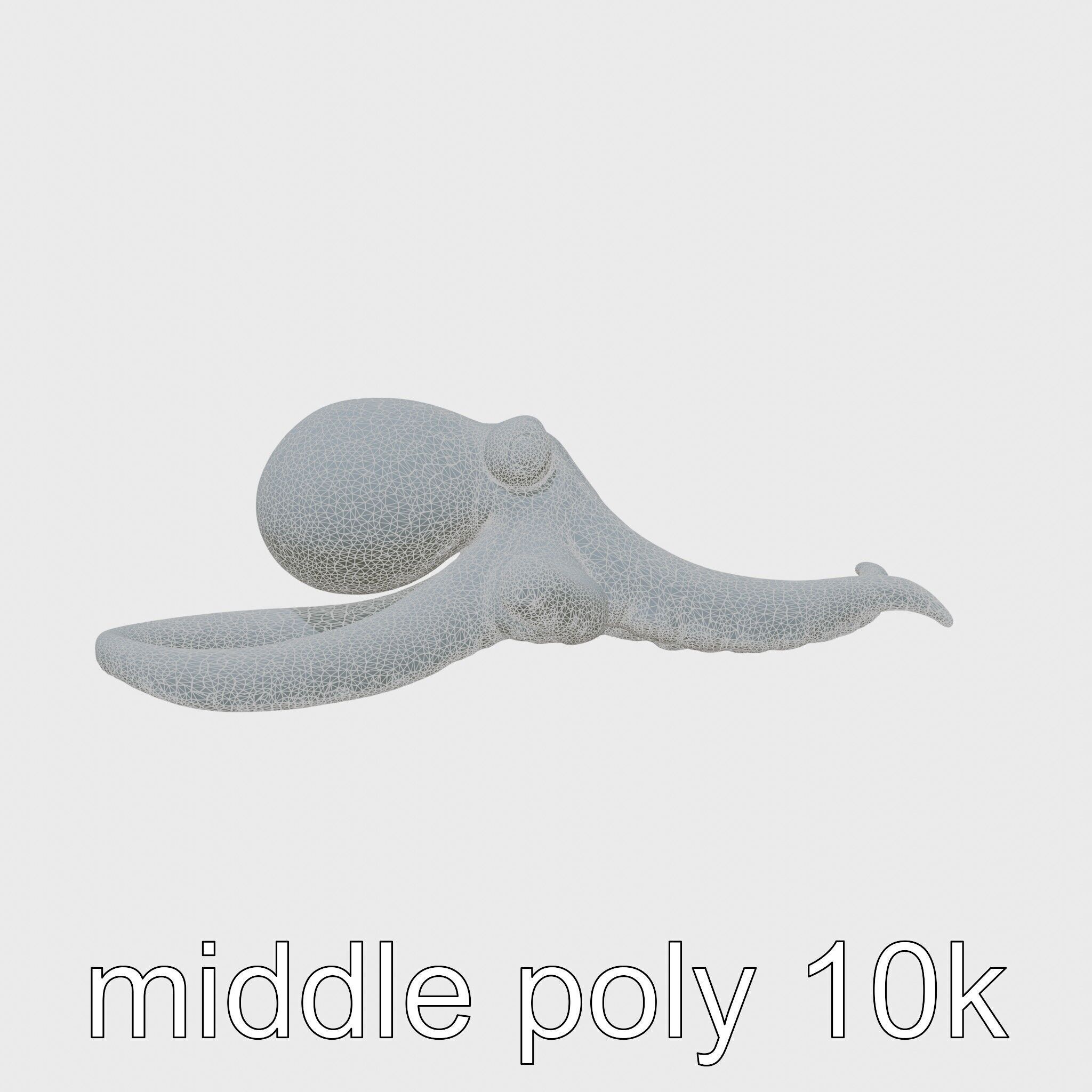 Dumbo Octopus Model with Ear-like Fins and Soft Body Low-poly 3D model_20