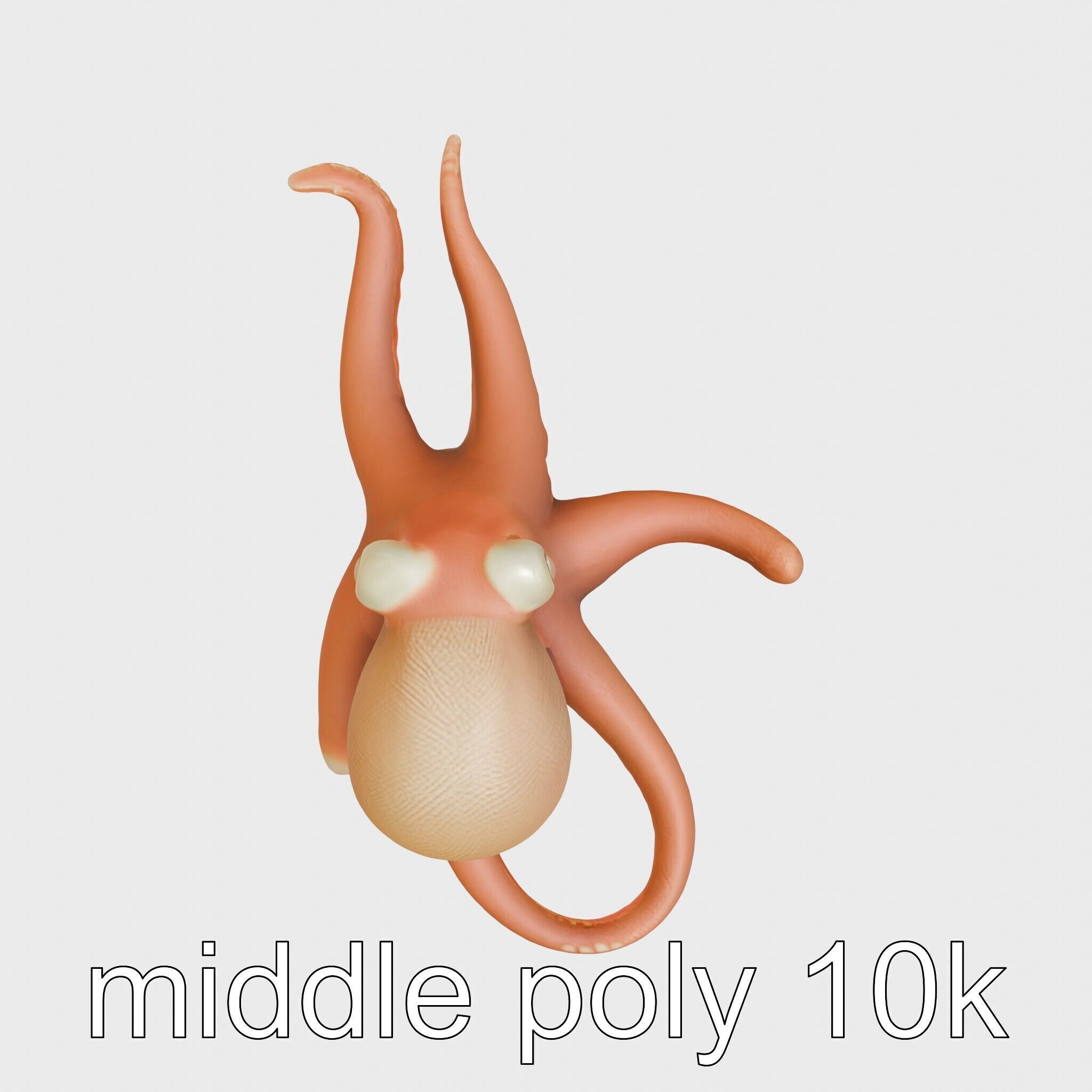 Dumbo Octopus Model with Ear-like Fins and Soft Body Low-poly 3D model_28