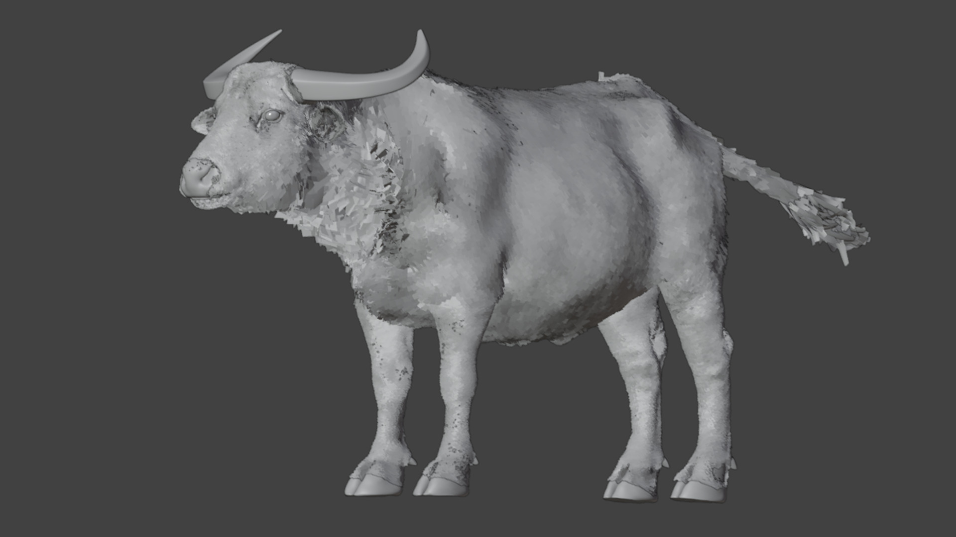 Asian Buffalo - Water Buffalo Realistic 3D model_22