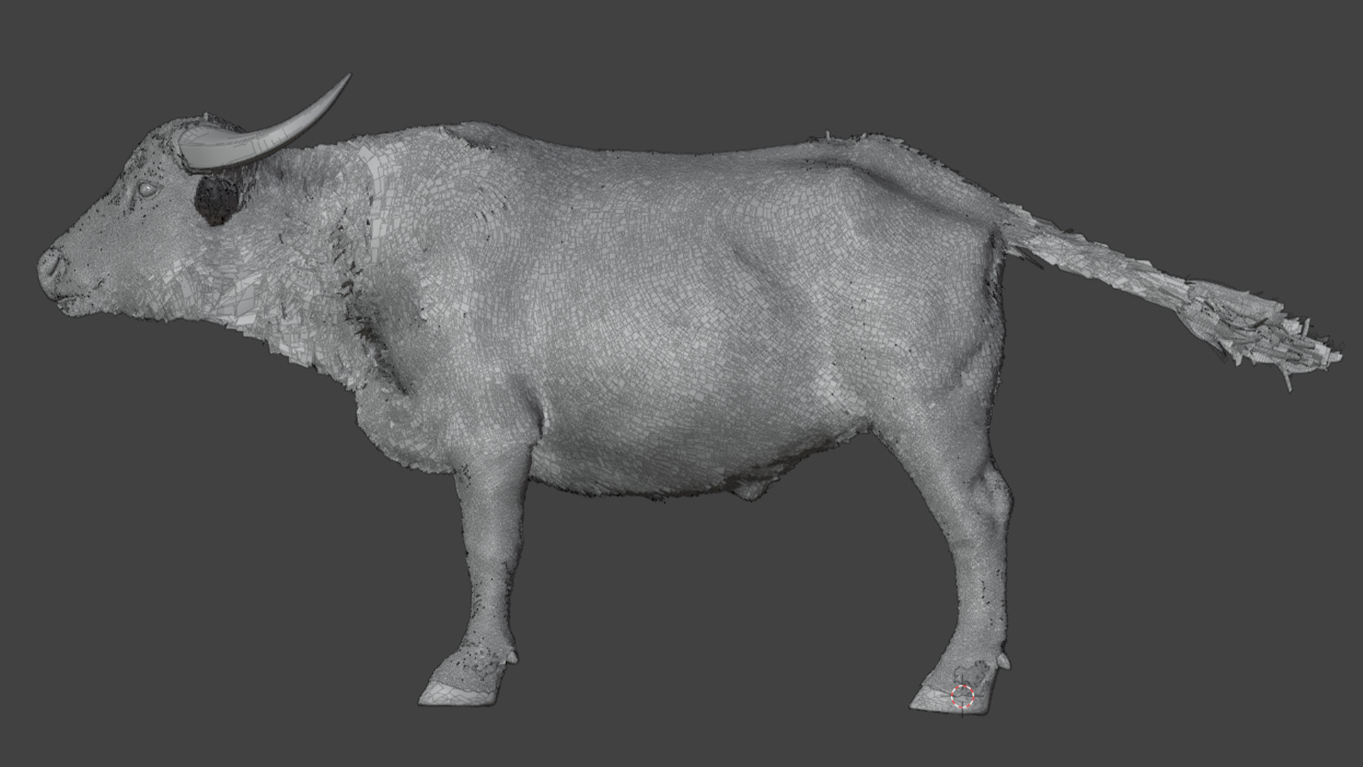 Asian Buffalo - Water Buffalo Realistic 3D model_18
