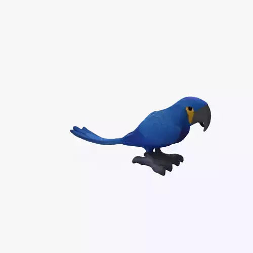 Macaw parrot 3d model