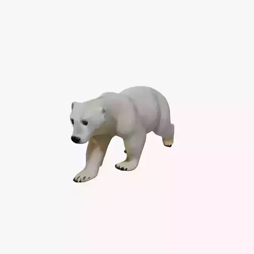 Polar bear 3d model