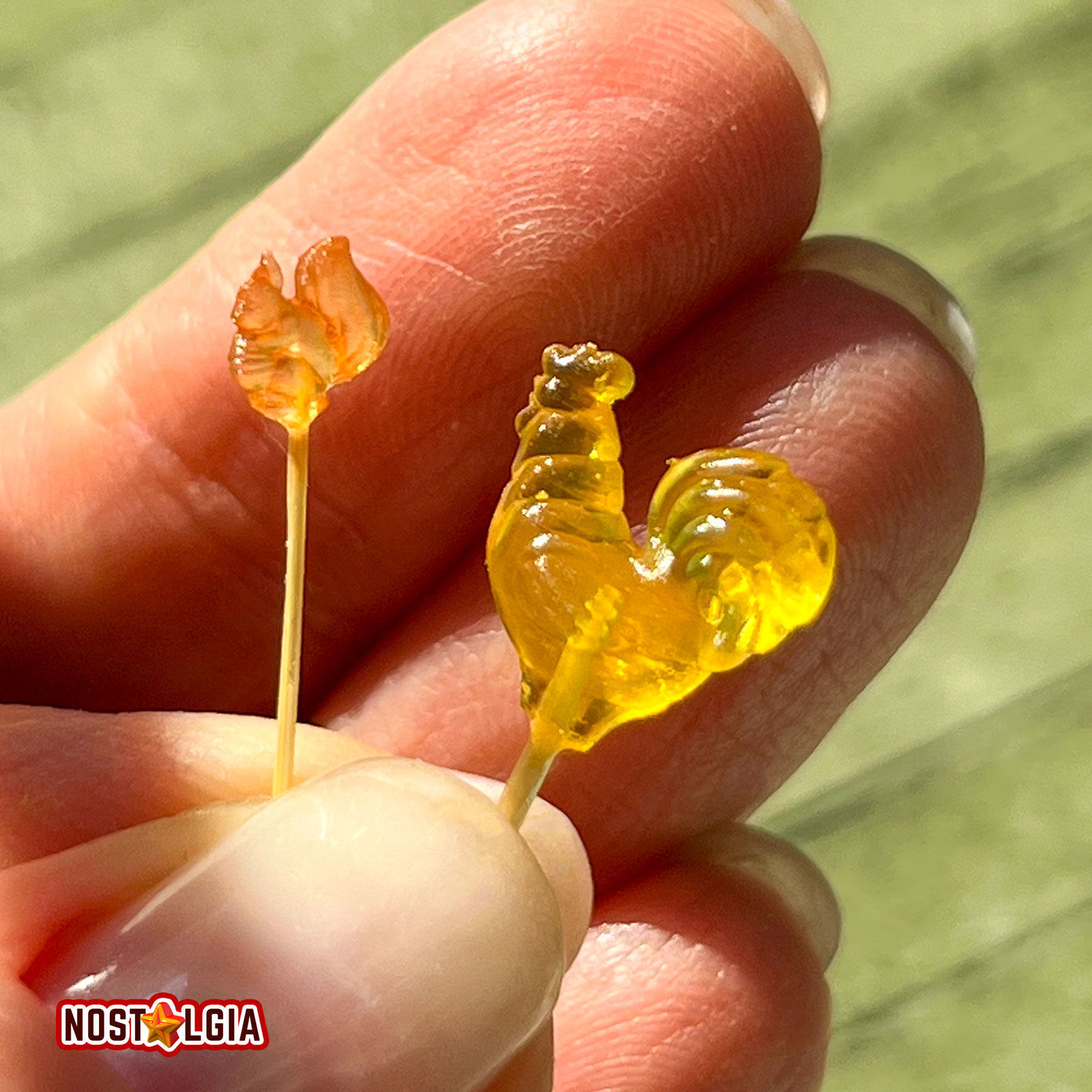 Lollipop Sweet Candy Cockerel and Squirrel 3D print model_3