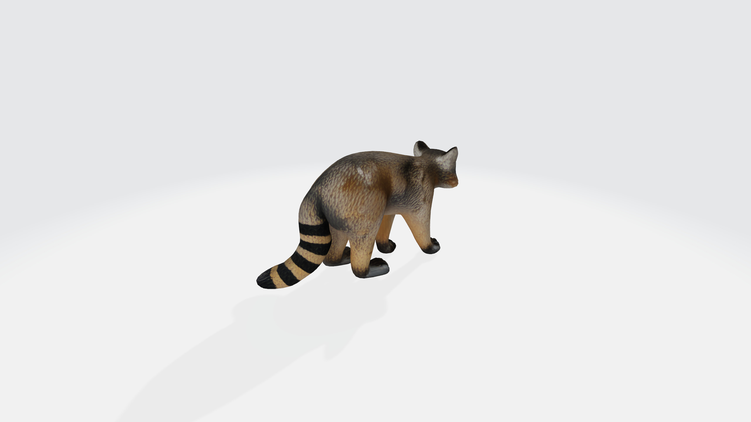 Raccoon cartoon 3d model Low-poly 3D model_4
