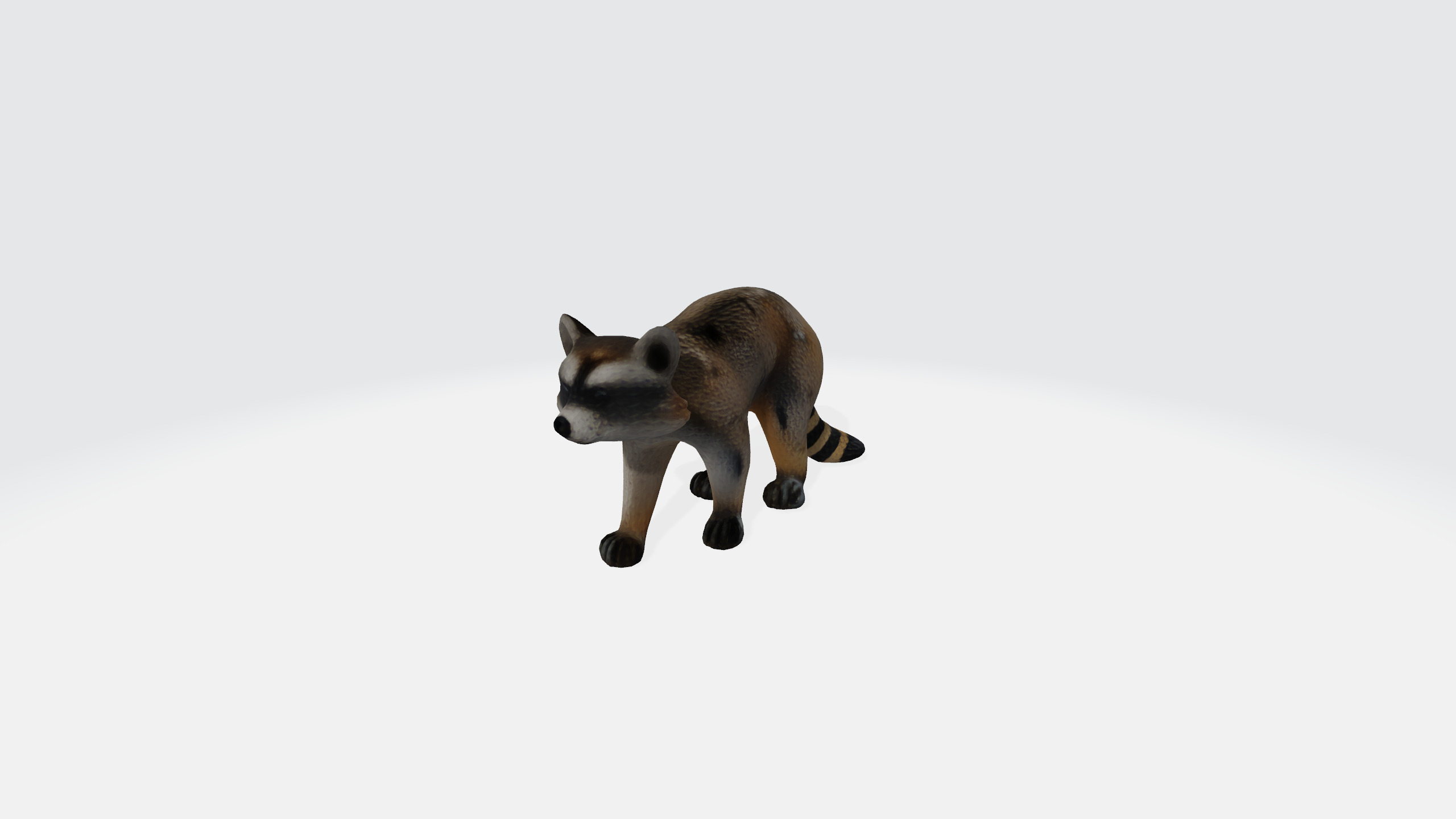 Raccoon cartoon 3d model Low-poly 3D model_2
