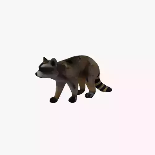 Raccoon cartoon 3d model