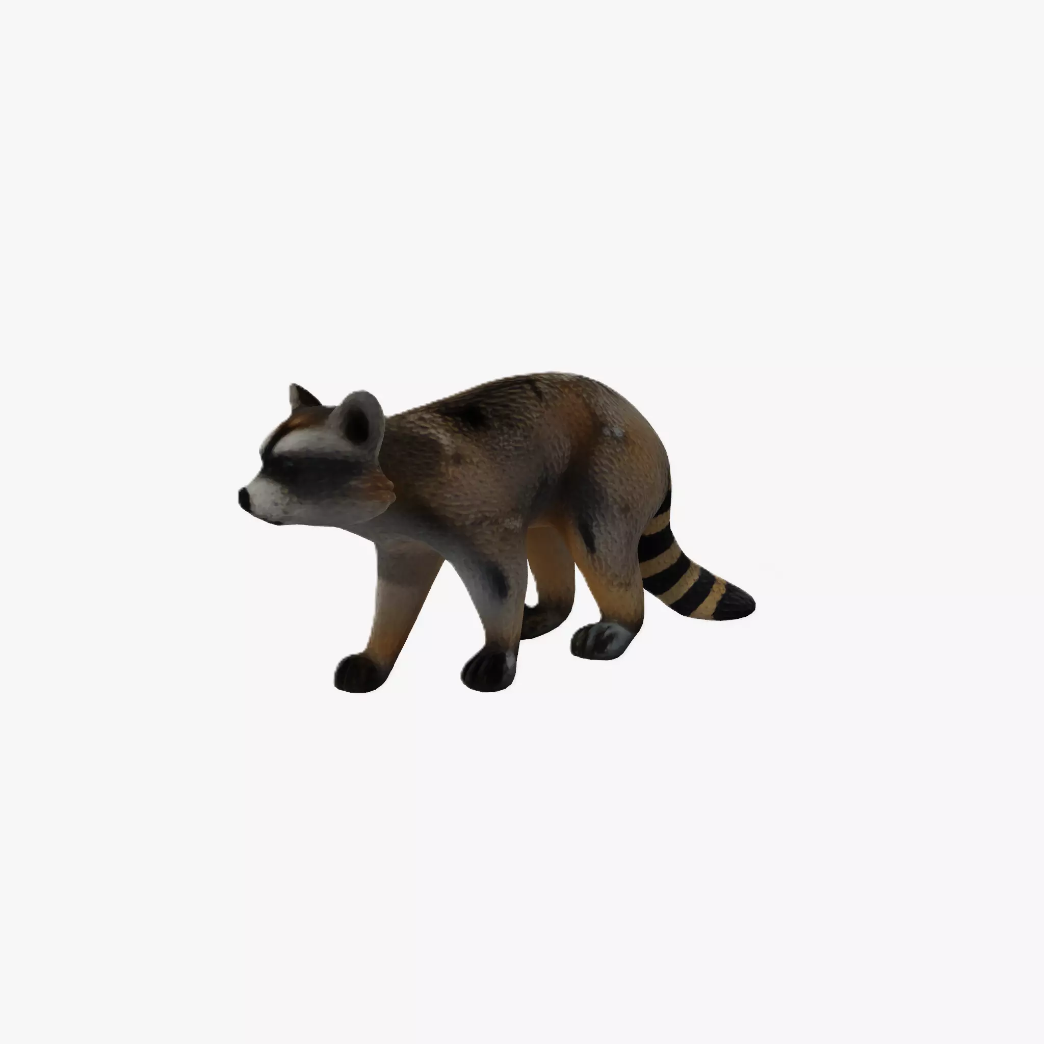 Raccoon cartoon 3d model Low-poly 3D model_0