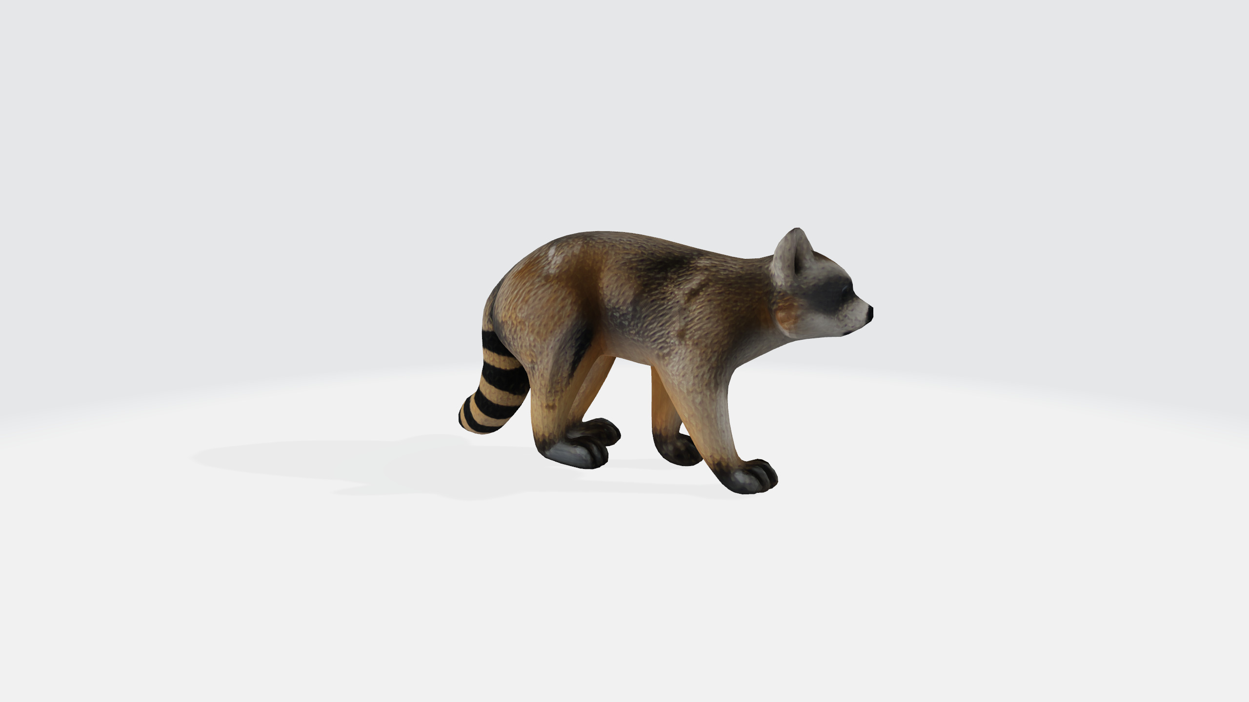 Raccoon cartoon 3d model Low-poly 3D model_5