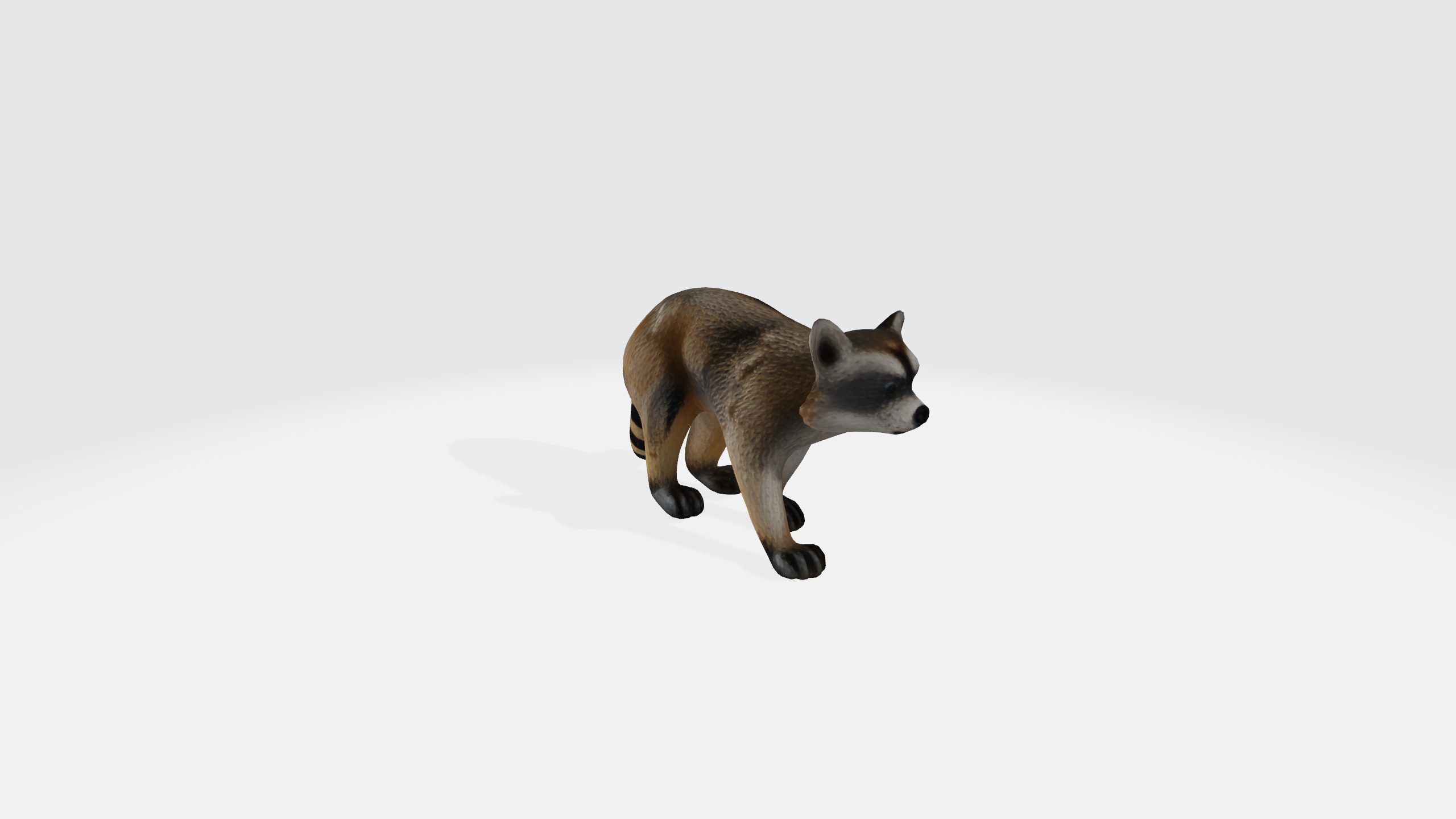 Raccoon cartoon 3d model Low-poly 3D model_1
